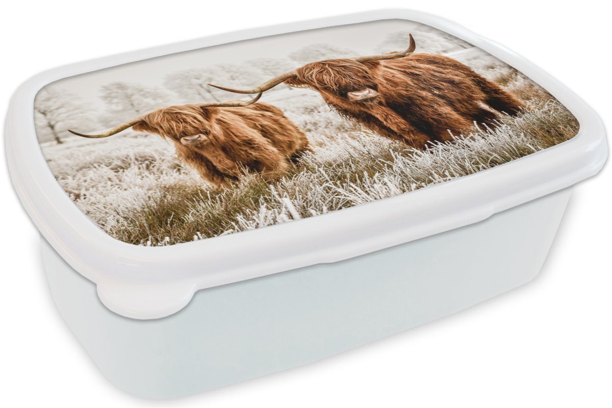 Natur (2-tlg), für - Kuh Lunchbox - Schottischer Mädchen und Winter, weiß Kinder und Brotdose, Hochländer Erwachsene, - für Kunststoff, MuchoWow Jungs Brotbox