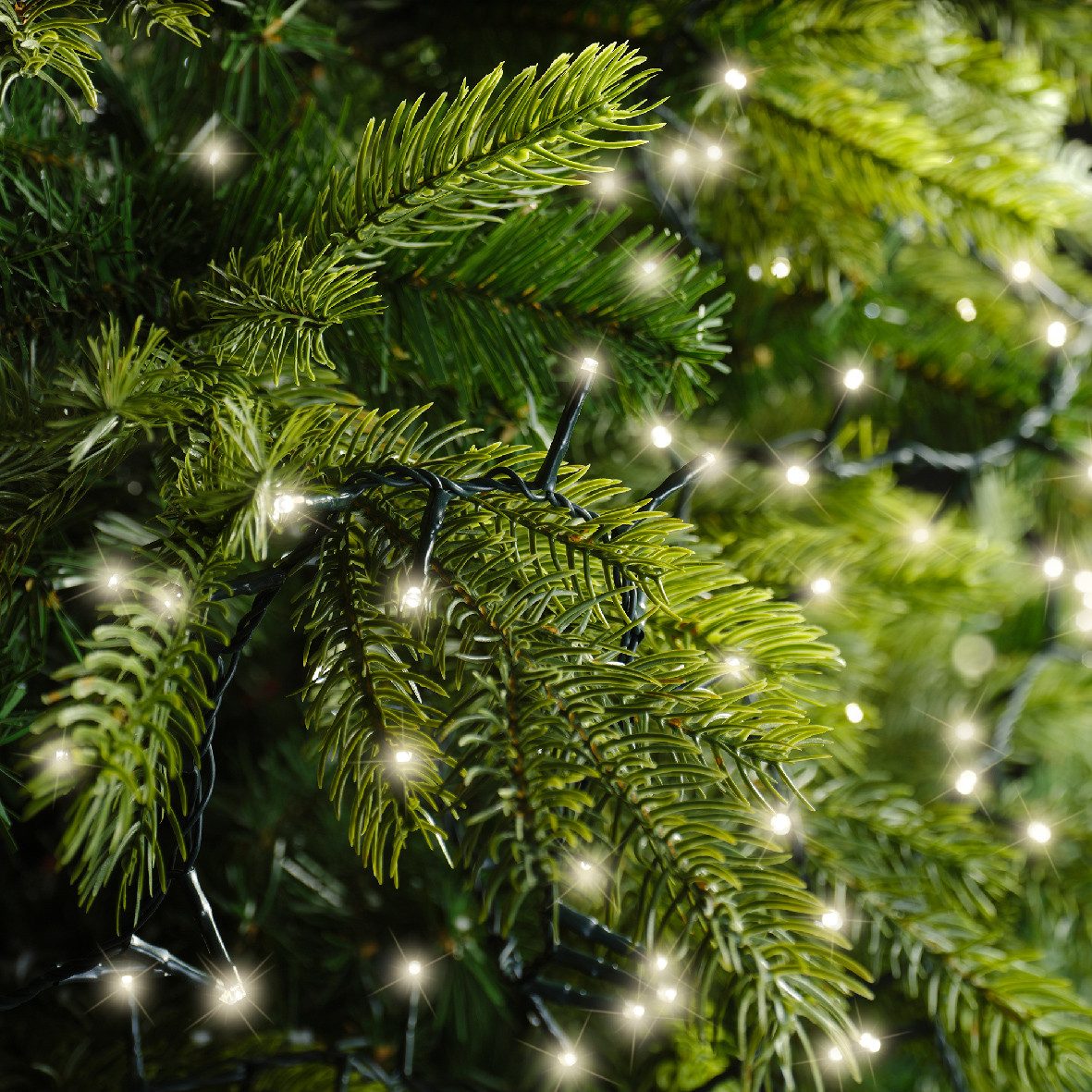 Kaemingk LED-Lichterkette Lumineo Compact warmweiß Outdoor, Dimmbar