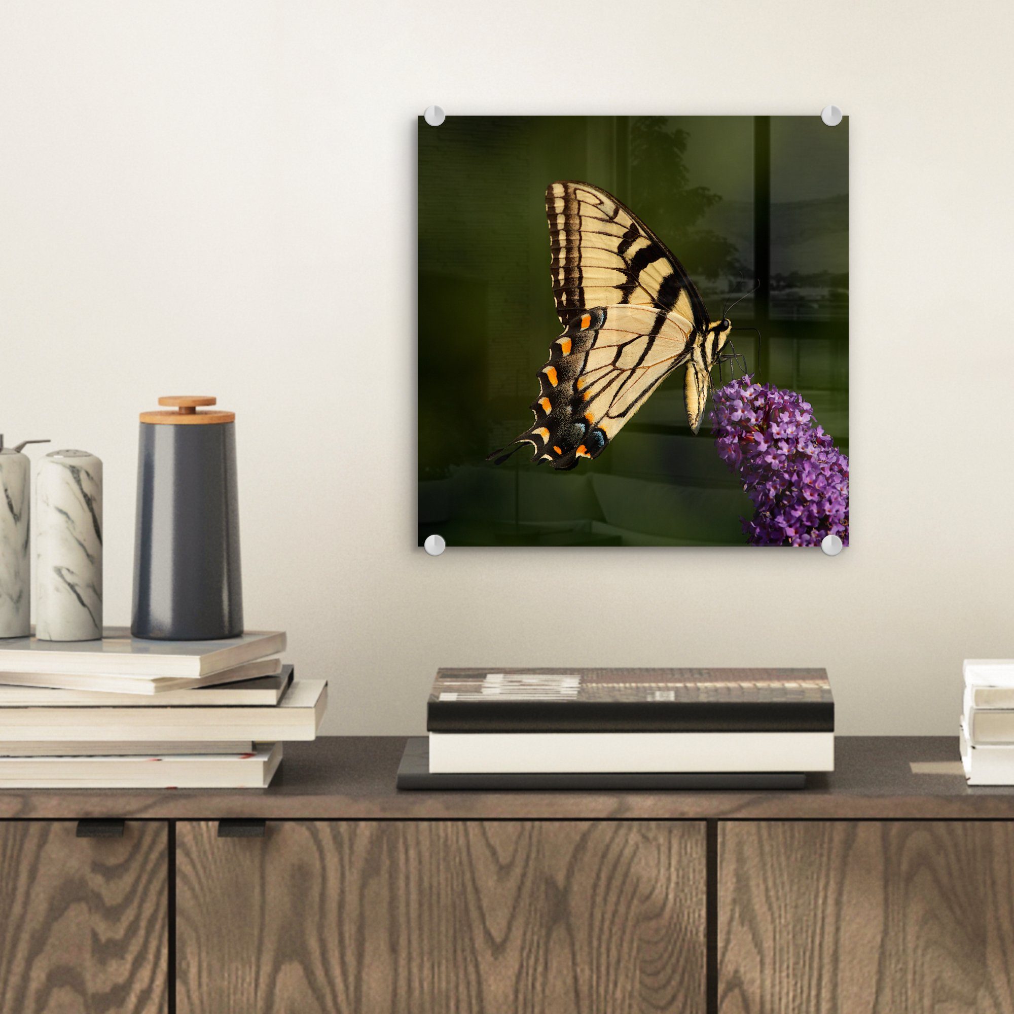 MuchoWow Acrylglasbild Papilio Schmetterling - Bilder Wanddekoration lila auf auf St), Glas auf Schmetterlingsstrauch, Wandbild - Glasbilder glaucus einem Glas Foto - (1