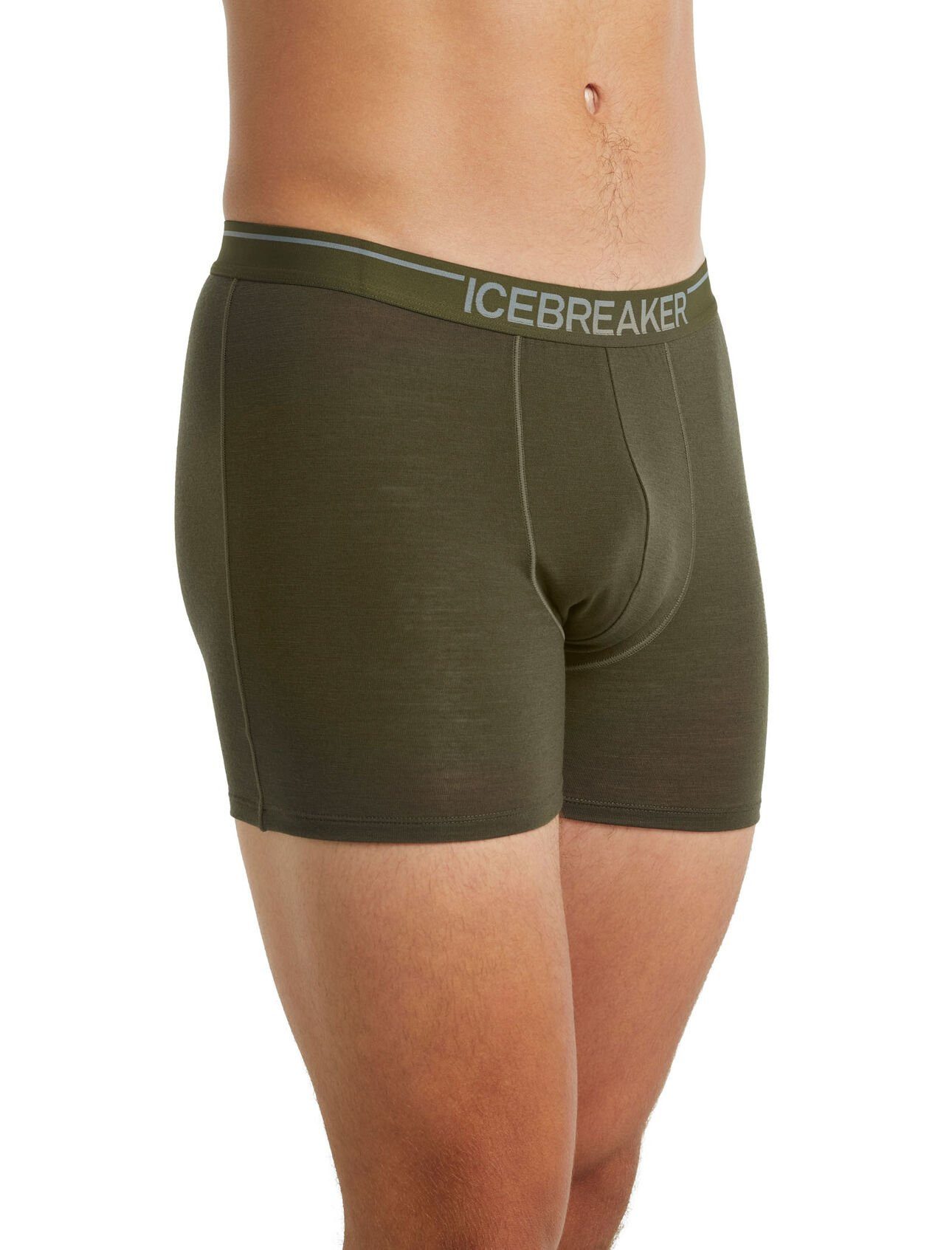Icebreaker Boxershorts Anatomica (Merinowolle) Unterwäsche lodengrün Herren