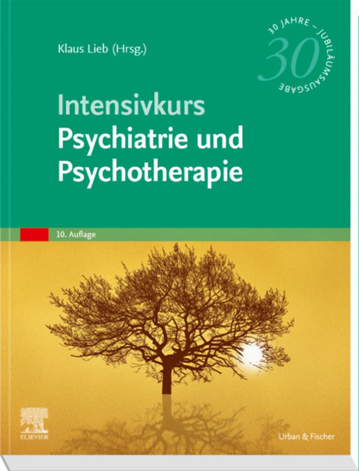 Intensivkurs Psychiatrie und Psychotherapie / diverse