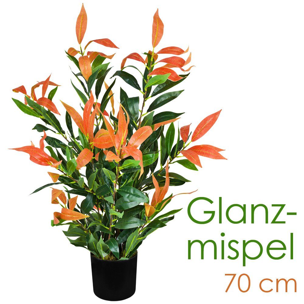 Kunstblume Künstliche Glanzmispel Photinia Kunstpflanze Künstliche Pflanze 70cm, Decovego, Höhe 70 cm