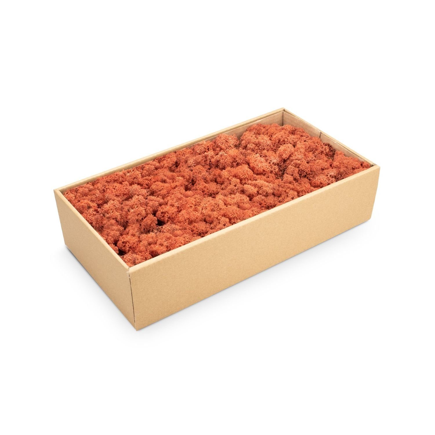 NaDeco Bastelnaturmaterial Islandmoos Siena 500g