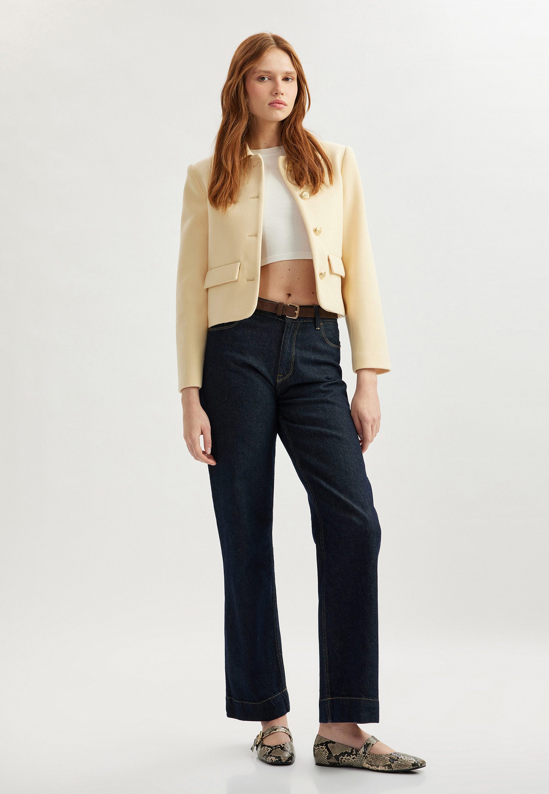 Jackenblazer Regular Klassisch Jackenblazer