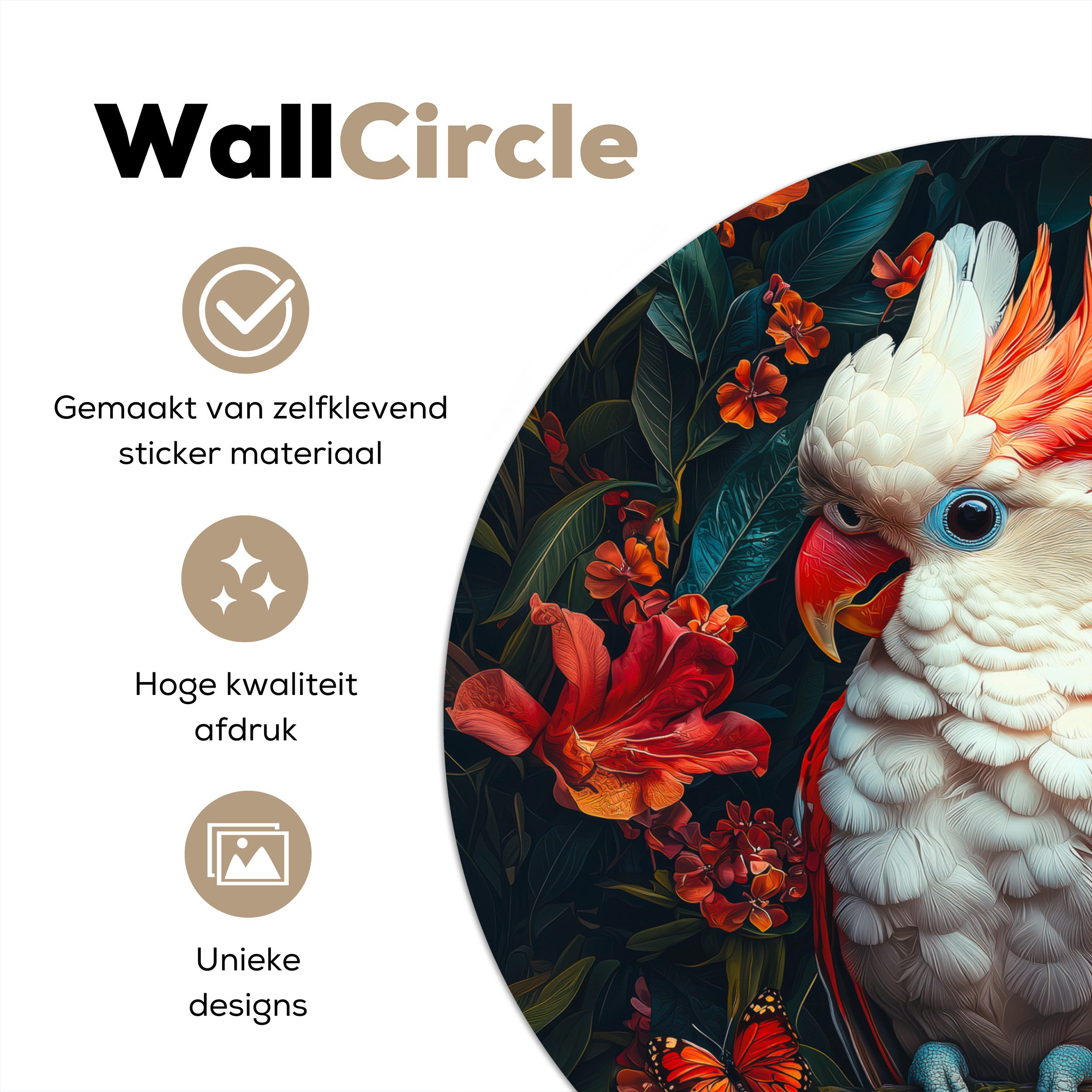 MuchoWow Wandsticker Kakadu - Schmetterlinge - günstig online kaufen