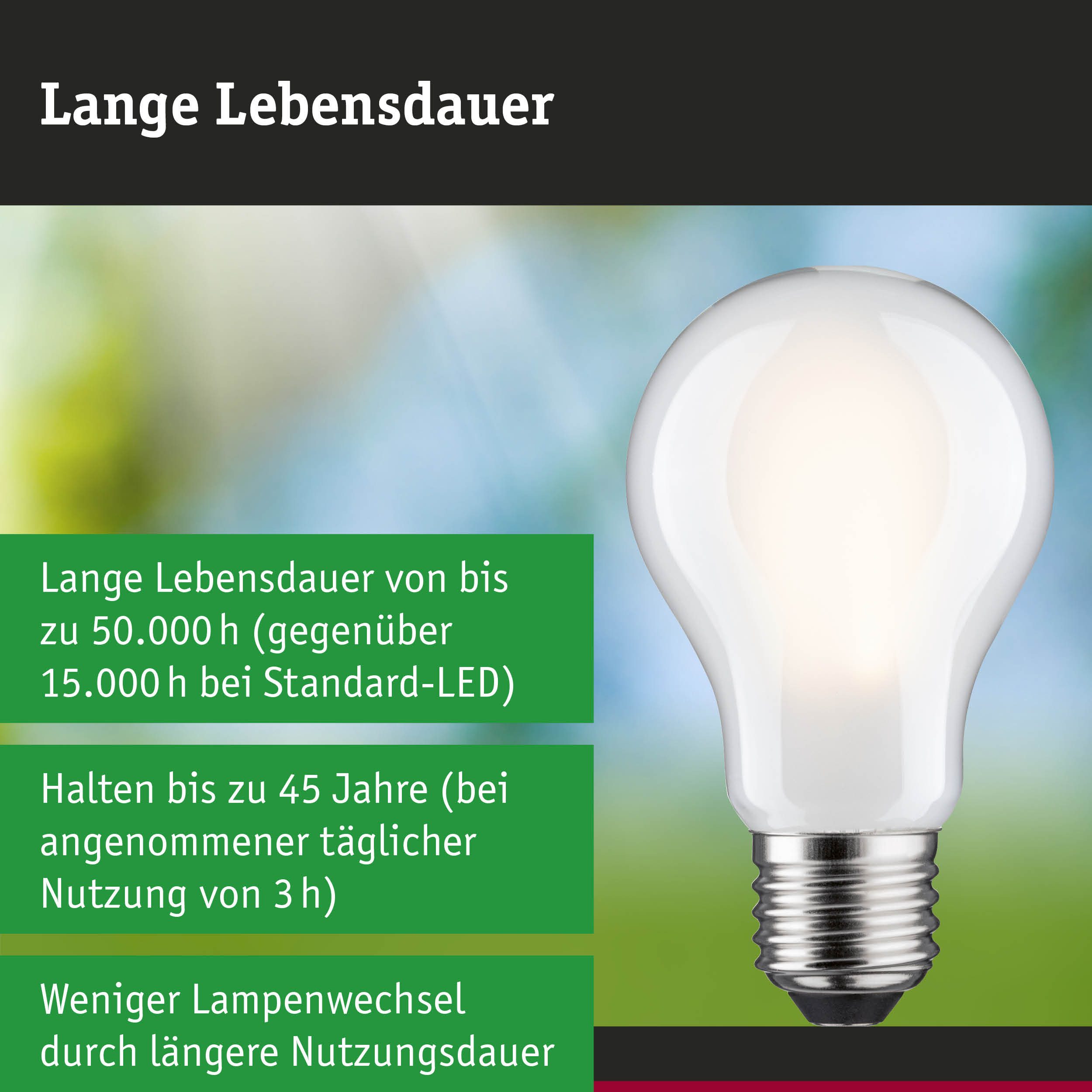 Paulmann LED-Filament Efficient-Line Filament 230V LED Birne E27 Einzelleuchte 806lm 4,3W 30, E27, 1 St. – Bild 5 von 5