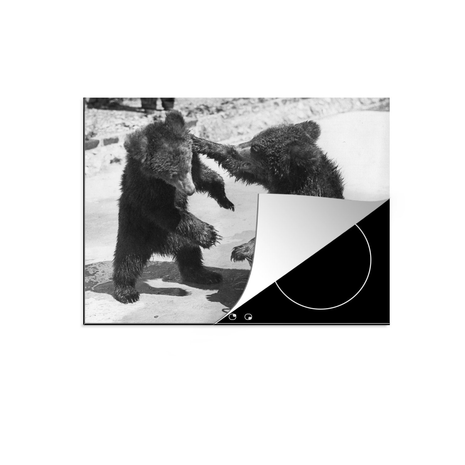 MuchoWow Herdblende-/Abdeckplatte Zwei herumtollende Bären in Schwarz und Weiß, Vinyl, (1 tlg), 70x52 cm, Mobile Arbeitsfläche nutzbar, Ceranfeldabdeckung