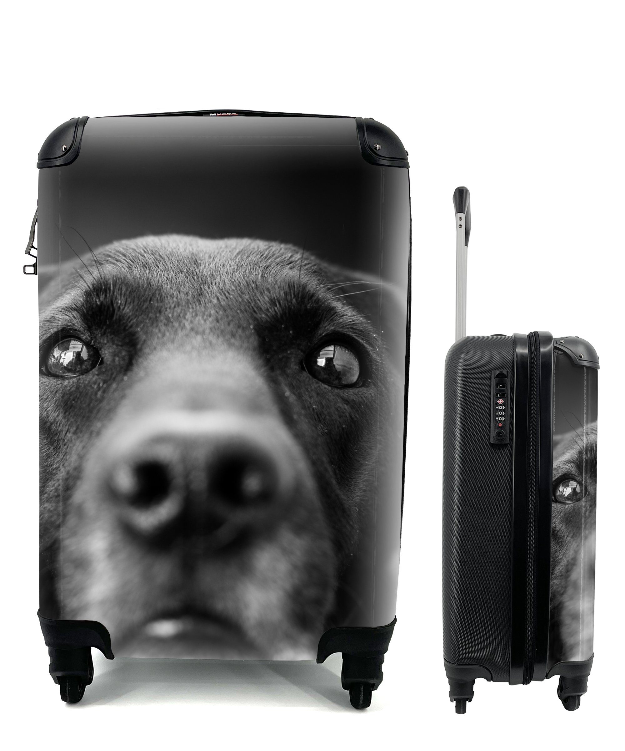 Handgepäckkoffer Trolley, rollen, Reisetasche Tierprofil Rollen, in und Handgepäck Hund mit Ferien, Reisekoffer weiß, schwarz für MuchoWow Labrador 4