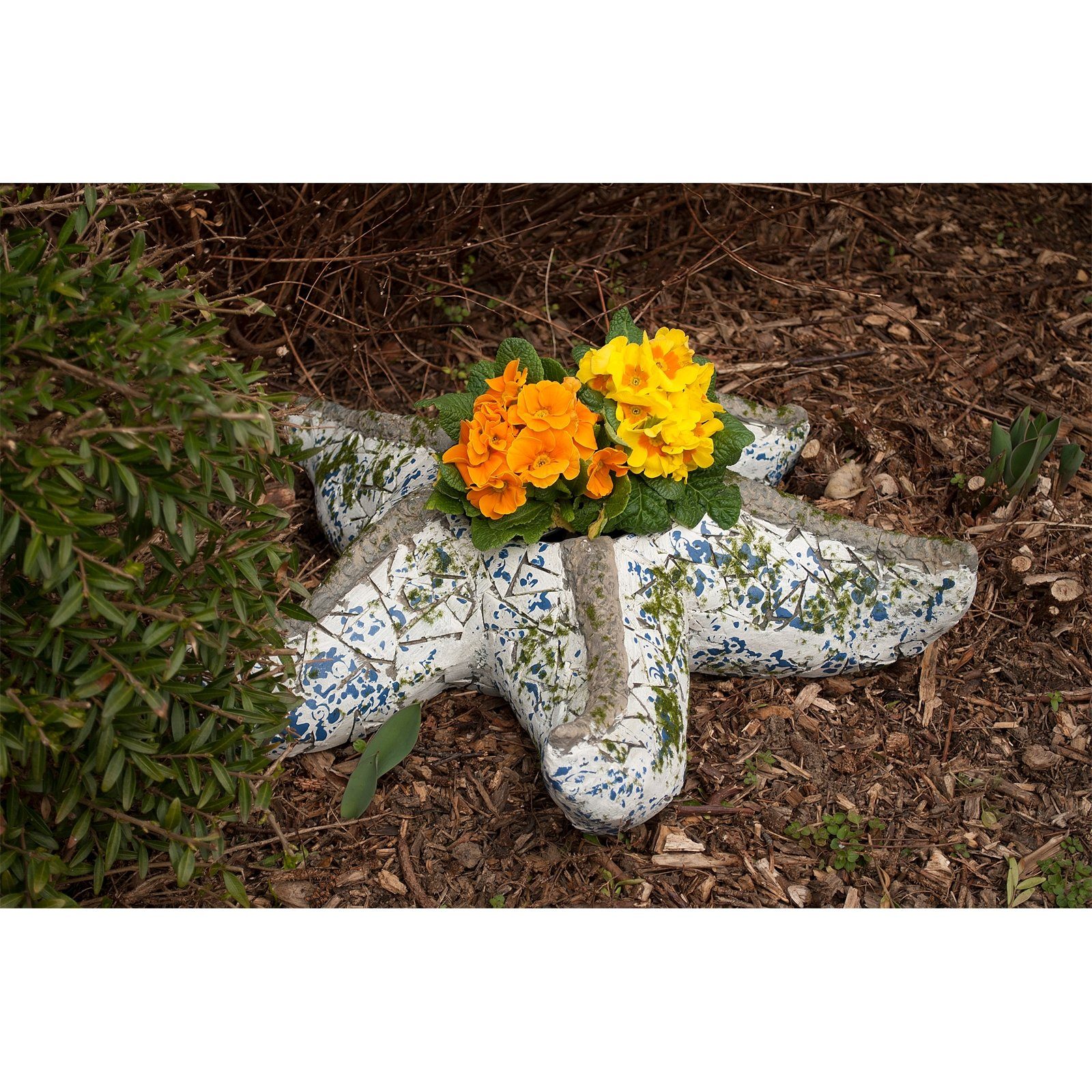 HTI-Line Tierfigur Pflanzgefäß Mosaik Seestern (1 günstig online kaufen