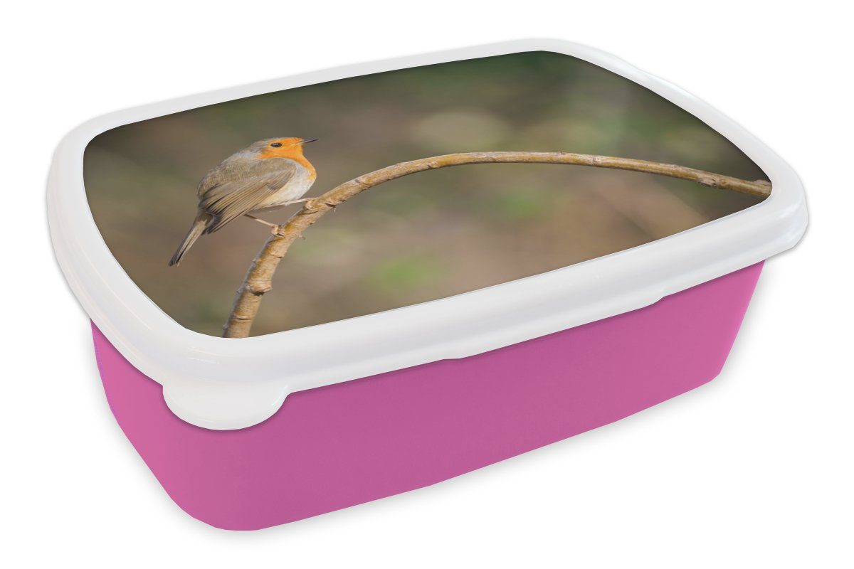 MuchoWow Lunchbox Brotdose Erwachsene, rosa Kinder, Kunststoff, Vogel Kunststoff - Rotkehlchen für Snackbox, - Mädchen, Natur, (2-tlg), Brotbox
