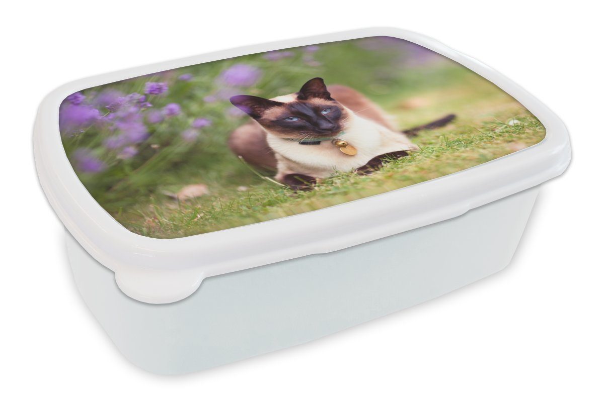 MuchoWow Lunchbox Eine Siamkatze legt sich neben den lila Lavendel, Kunststoff, (2-tlg), Brotbox für Kinder und Erwachsene, Brotdose, für Jungs und Mädchen weiß