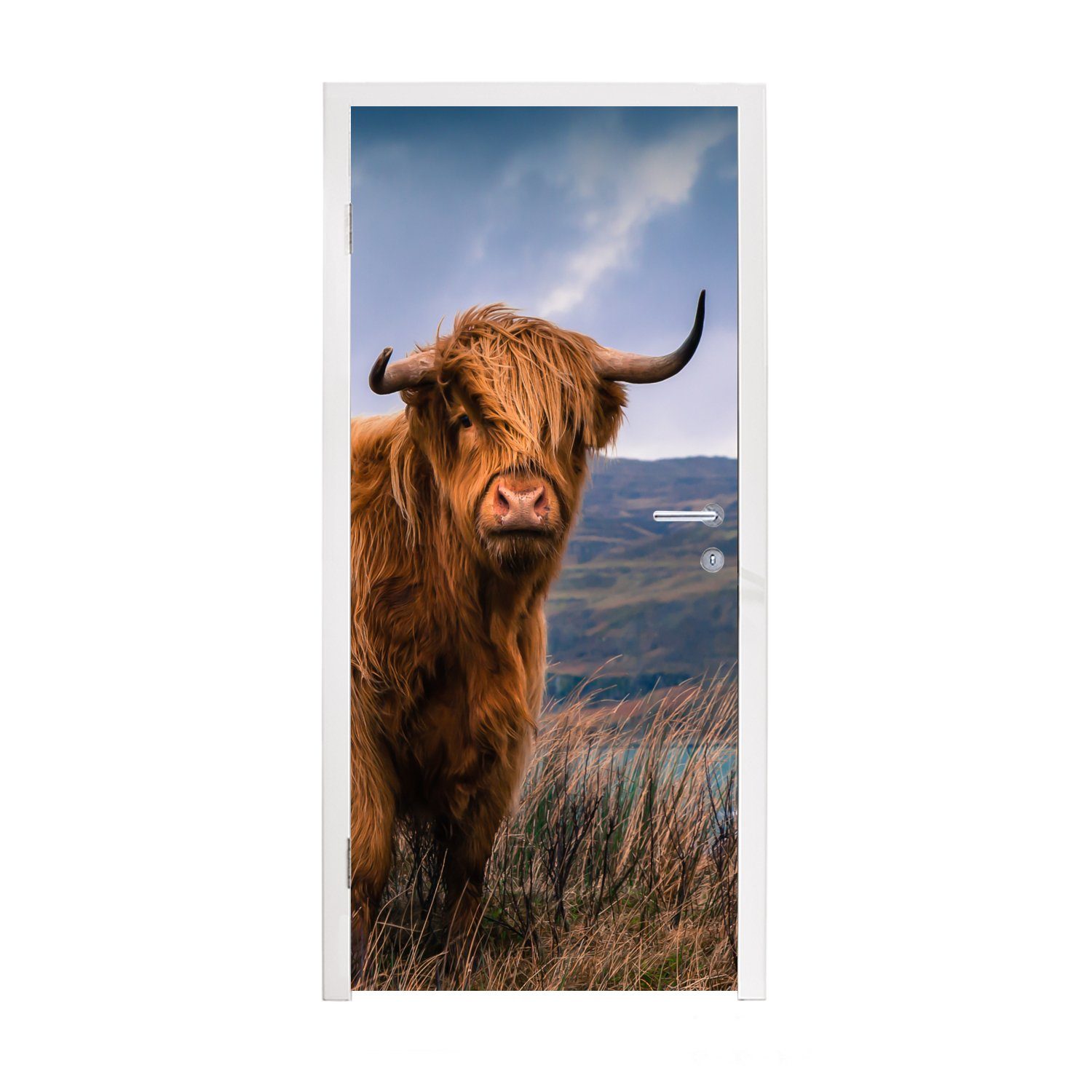 MuchoWow Türtapete Schottische Highlander - Himmel - Natur, Matt, bedruckt, (1 St), Fototapete für Tür, Türaufkleber, 75x205 cm