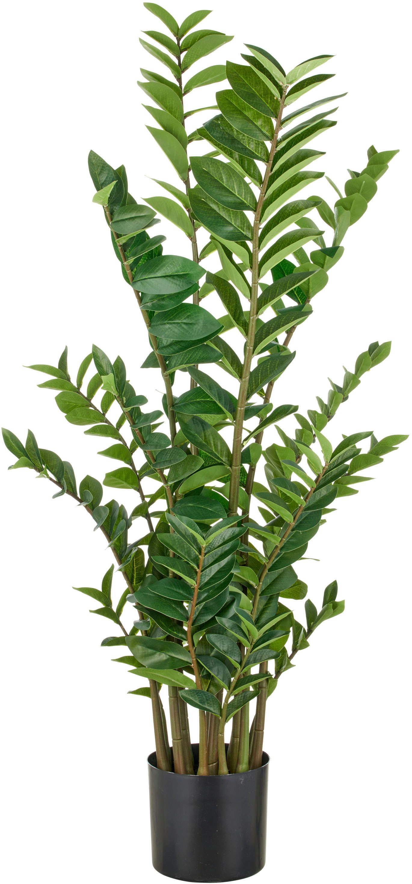 Kunstpflanze Zamifolia, Creativ green, Höhe 130 günstig online kaufen
