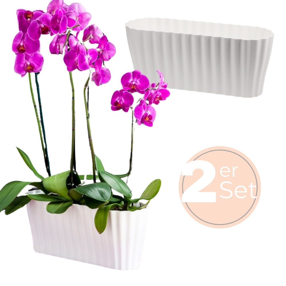 GarPet Blumentopf 2er Set Orchideentopf Kunstoff Elegant Orchideen Über Pfl günstig online kaufen