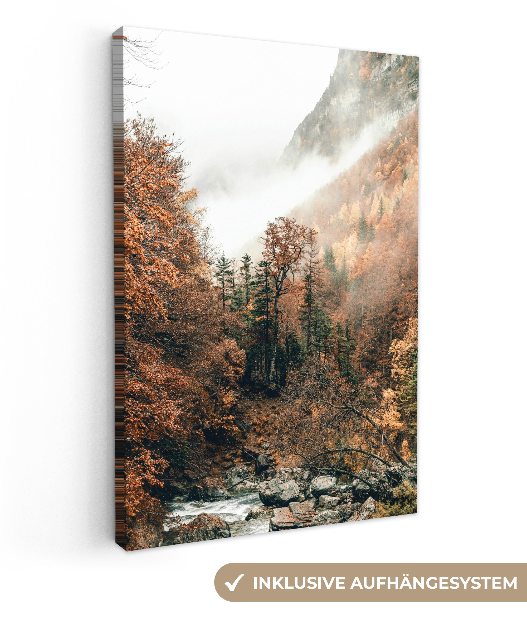 OneMillionCanvasses® Leinwandbild Natur - Wald - Nebel - Herbst, Fotodruck günstig online kaufen