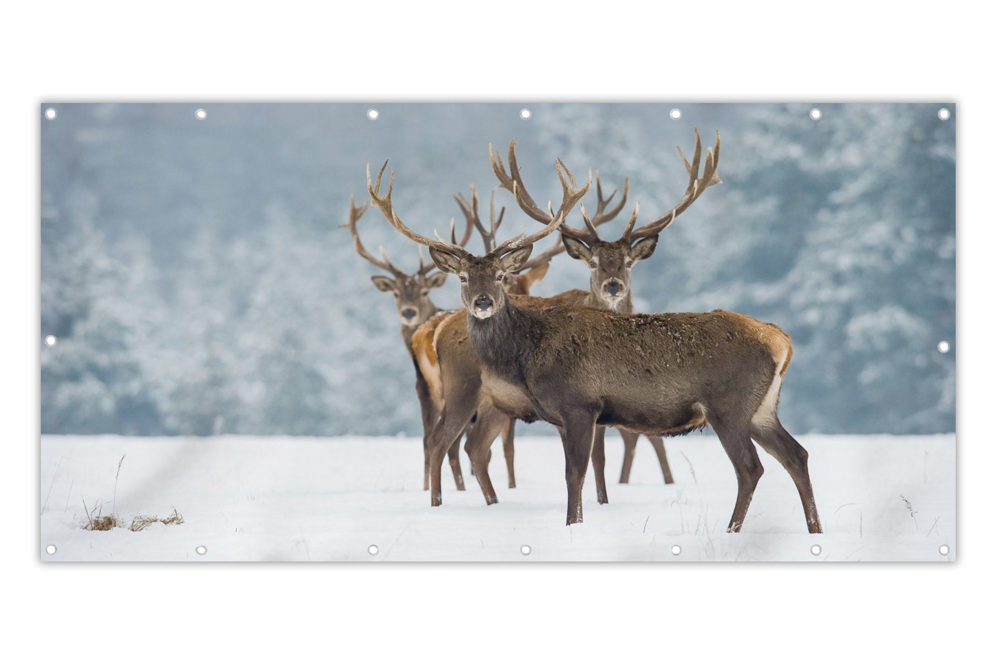 MuchoWow Balkonsichtschutz Hirsche - Tiere - Schnee - Winter - Landschaft - Natur (1-St) Balkon Sichtschutz 90x200, Windschutz für Zaun PVC, 200x90 cm