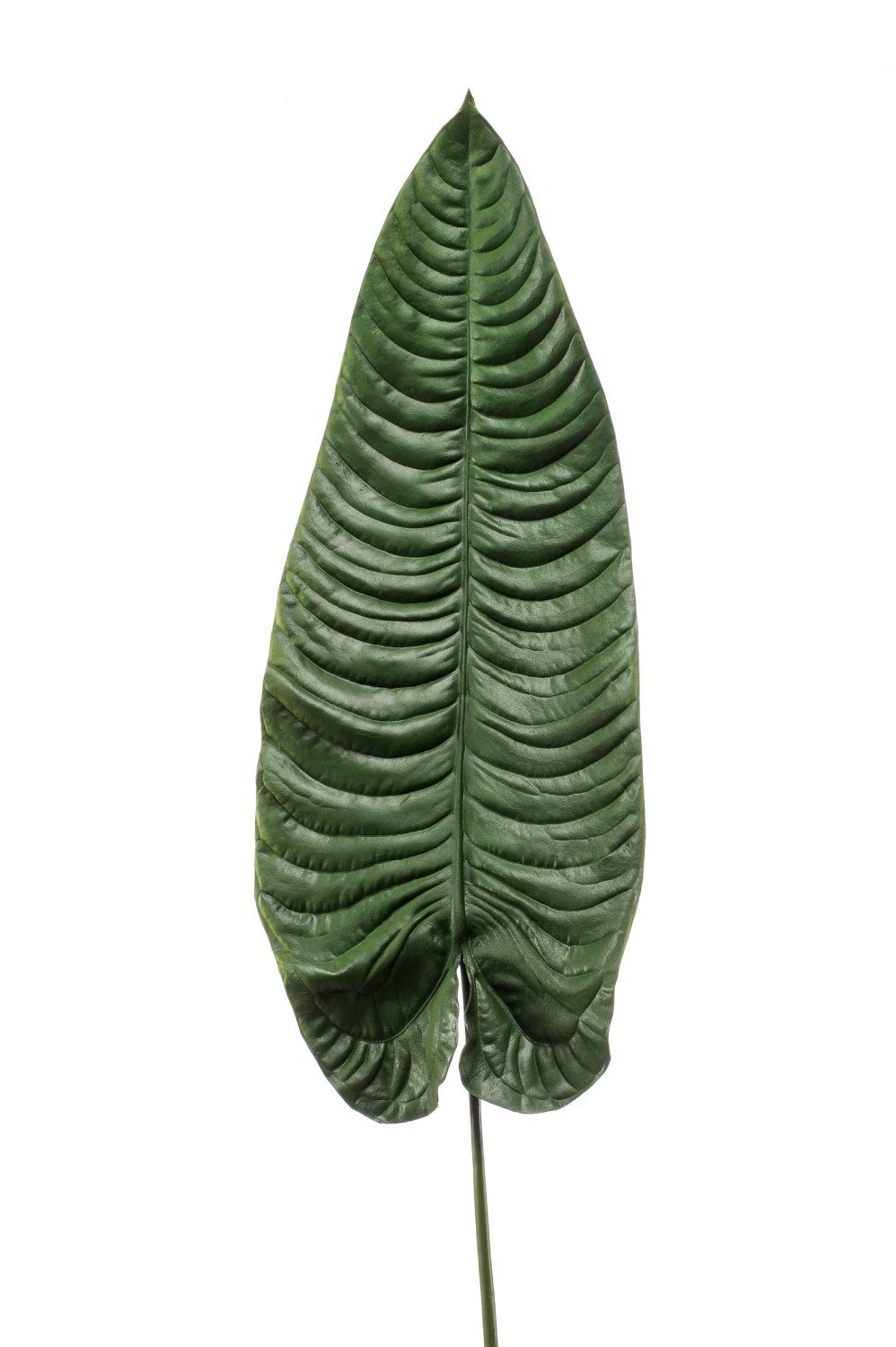 Kunstpflanze Colocasia Blatt künstlich ABANTO, grün, 105cm Colocasia, artplants, Höhe 105.0 cm