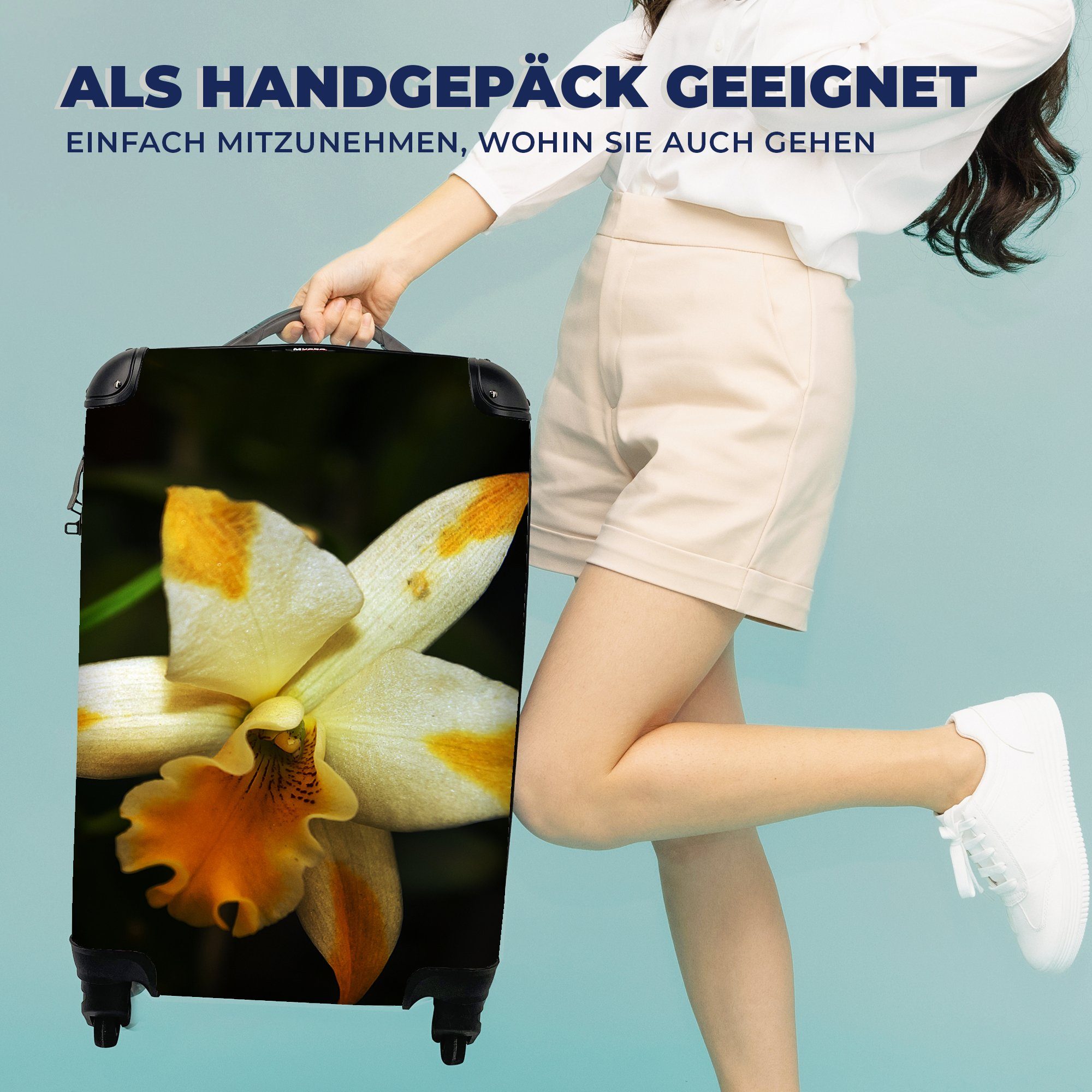Rollen, Reisetasche mit Handgepäckkoffer Handgepäck Orchideenblüten, für Zwei rollen, MuchoWow 4 Reisekoffer Ferien, Trolley,