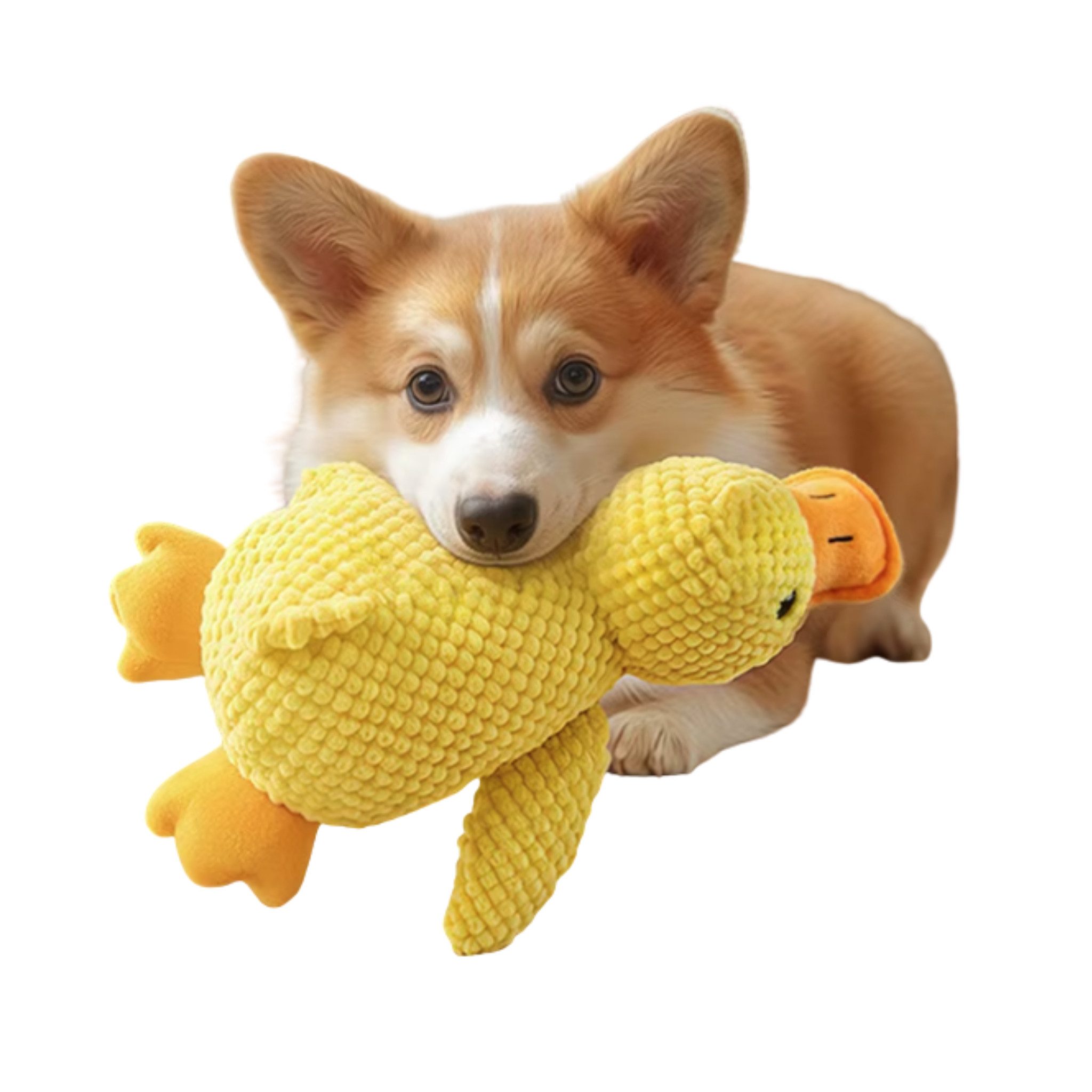 HS.SUPPLY Tierkuscheltier Quietschendes Hundespielzeug Ente – weiches Hunde günstig online kaufen