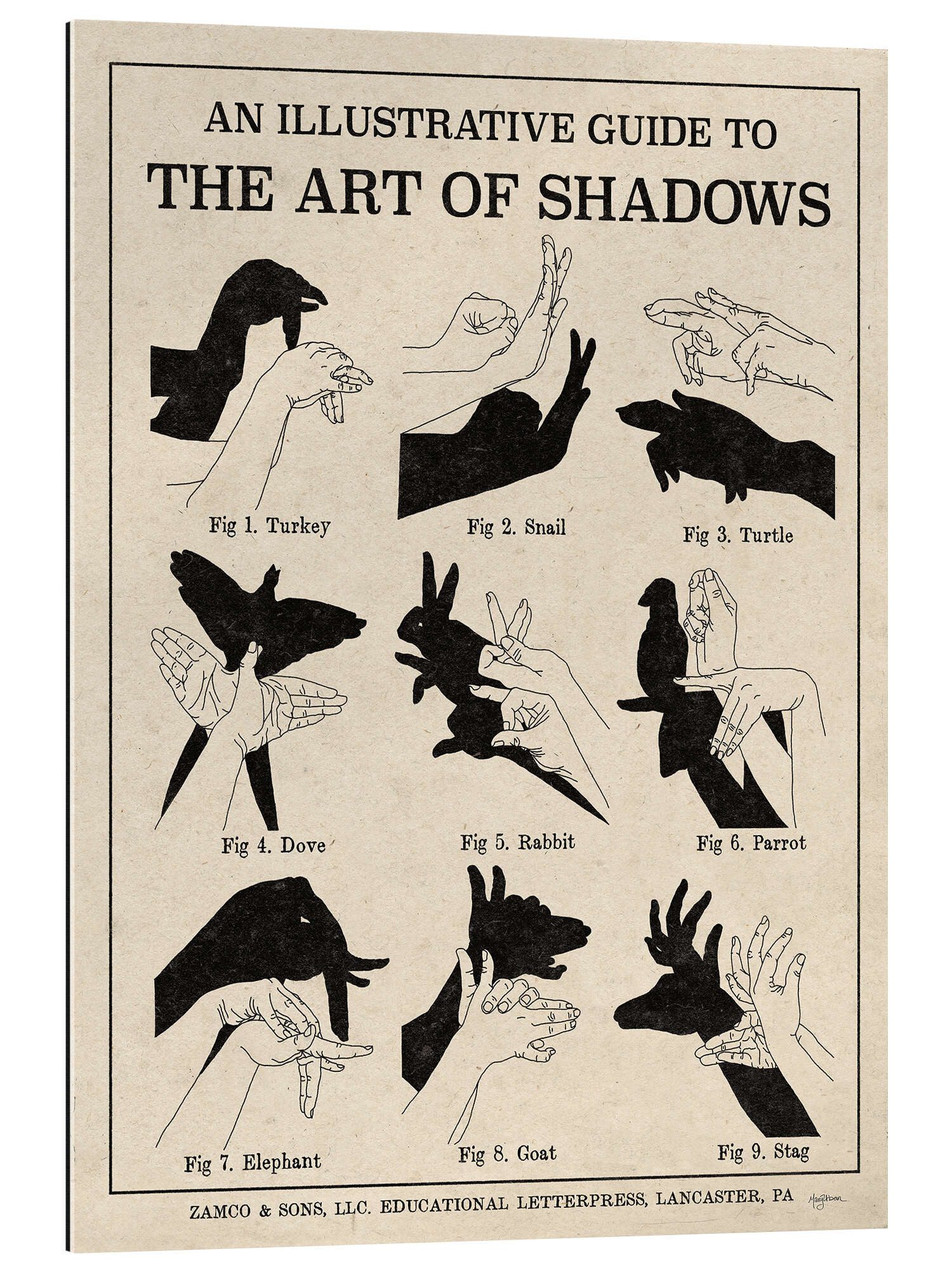 Posterlounge Wandbild Die Kunst der Schattenspiele günstig online kaufen