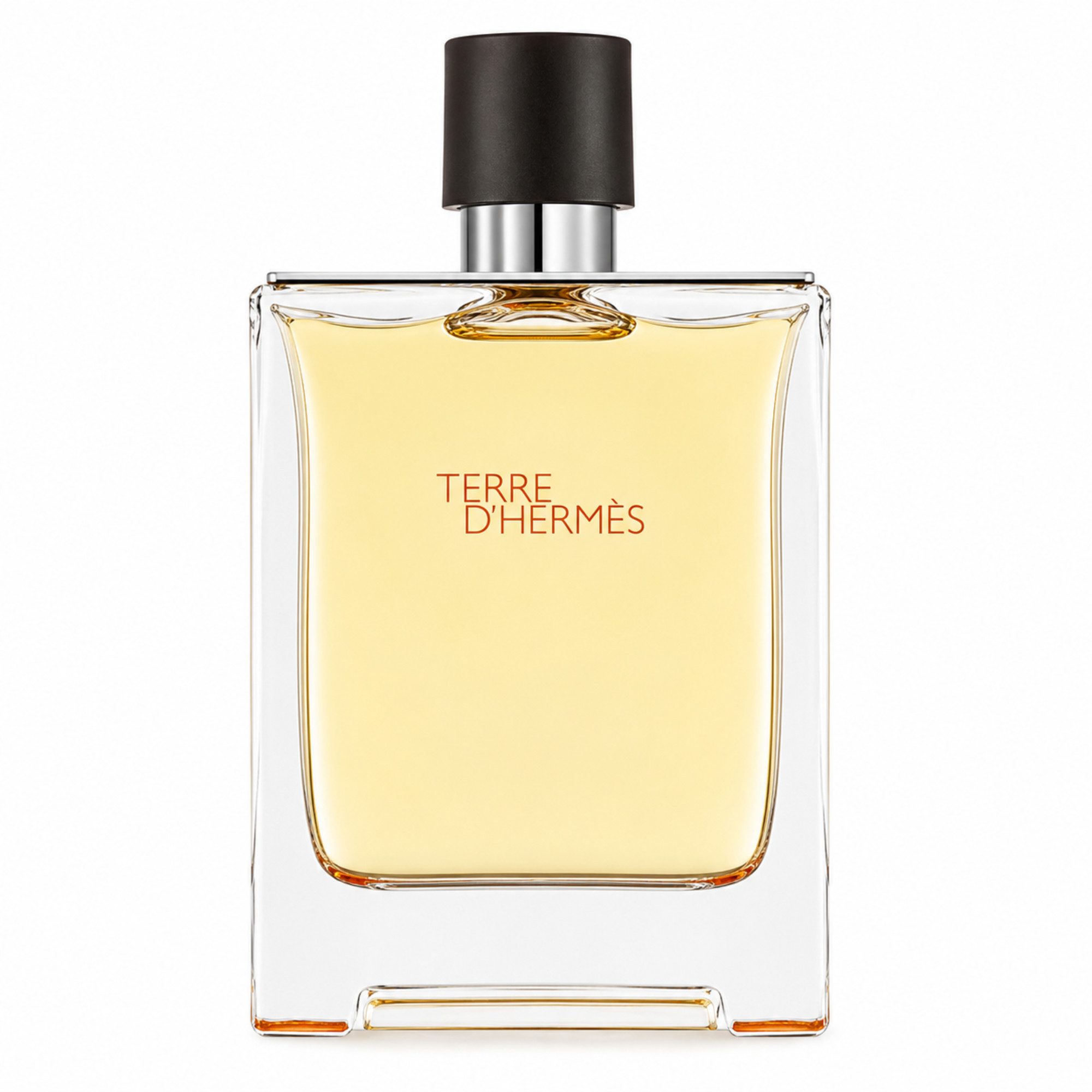 HERMÈS Eau de Toilette Terre d'Hermès Herrenparfum 100 ml, holzig-würziger Premiumduft