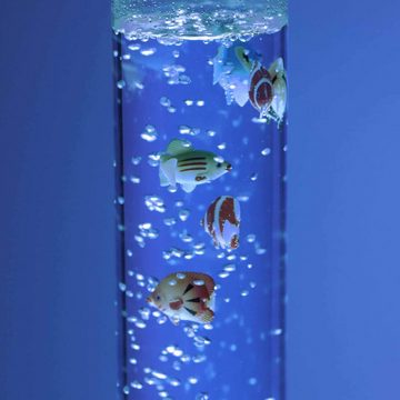 SellTec Stehlampe LED Wassersäule Sprudelsäule AVA, Farbwechselsteuerung (RGB-Farbmanagement), Schnurschalter, 12xLED/0,06W/RGB, Farbwechsel, Sprudelsäule mit 10 Fischen, RGB Dekolampe