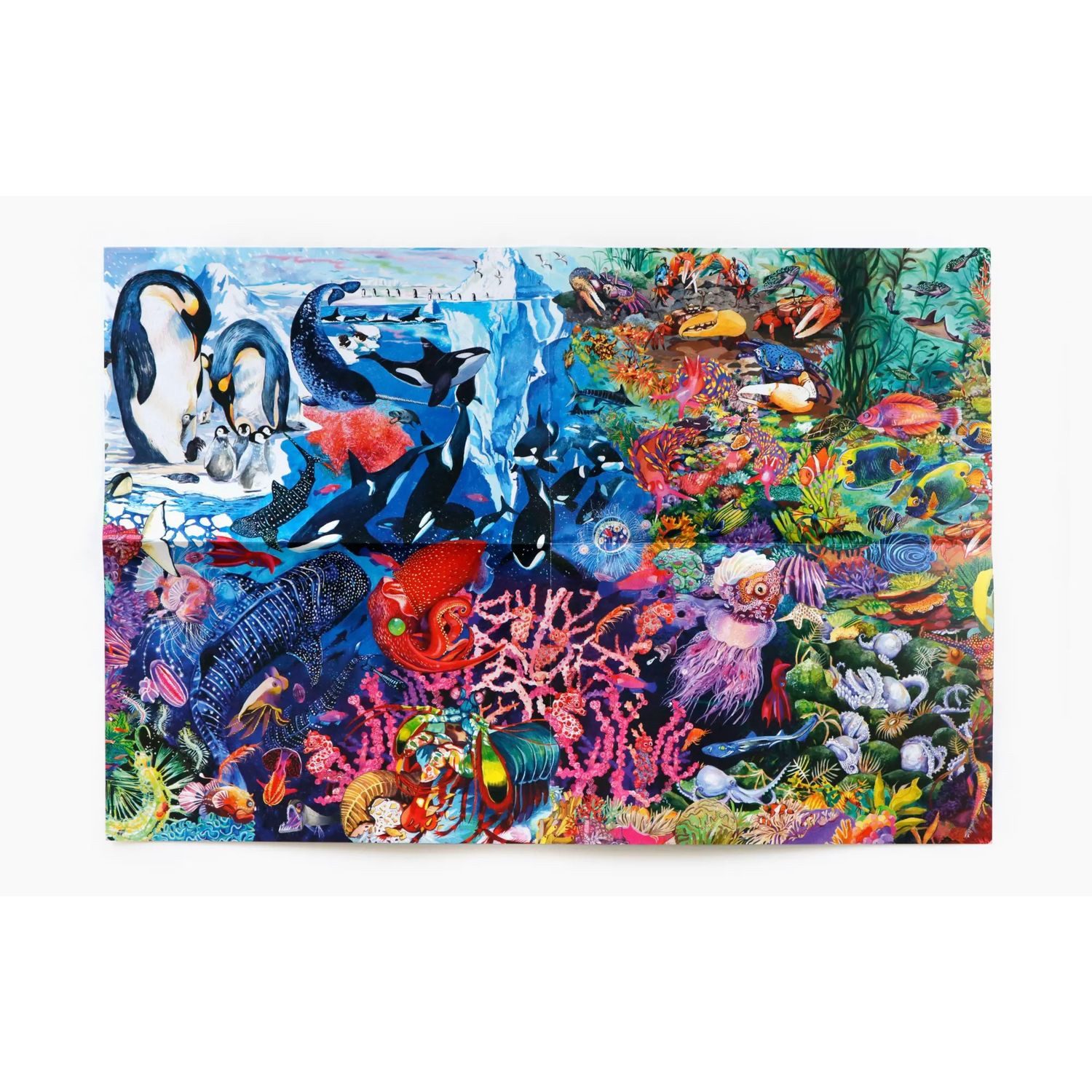 Laurence King Puzzle Abenteuer Ozean, 180 Puzzleteile