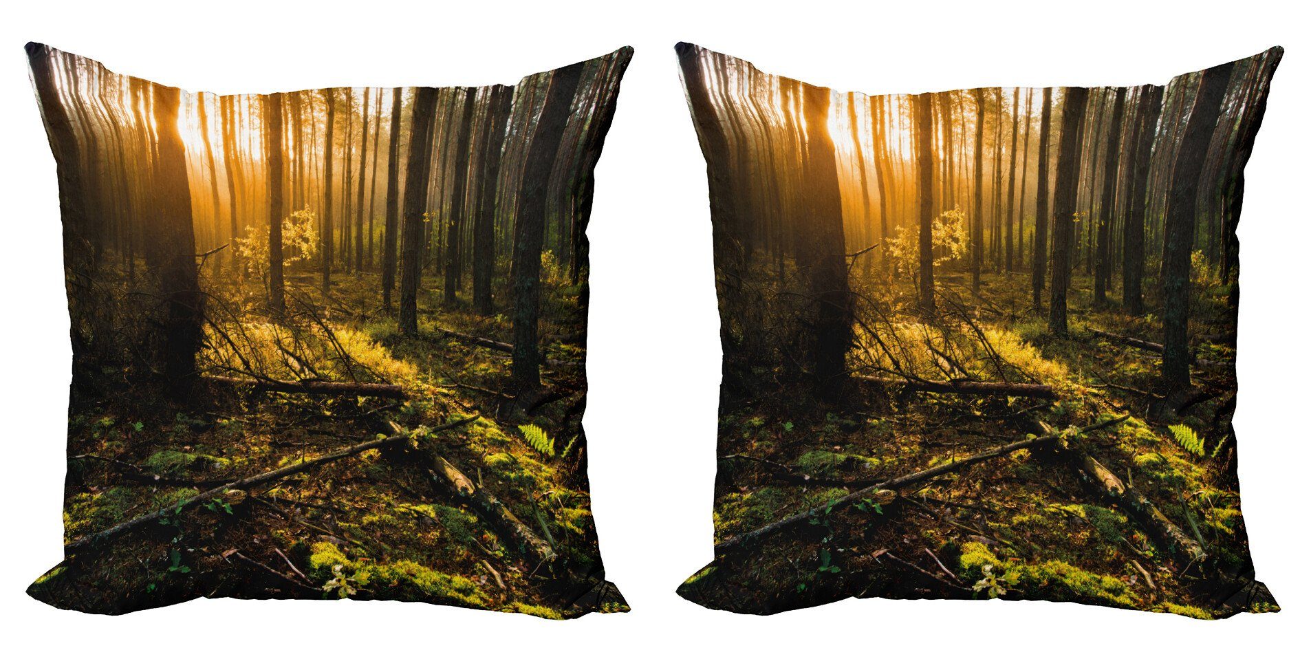 Kissenbezüge Modern Accent Doppelseitiger Digitaldruck, Abakuhaus (2 Stück), Wald Misty Morning Sun Rays