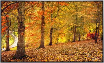 Papermoon Infrarotheizung Herbstwald, sehr angenehme Strahlungswärme