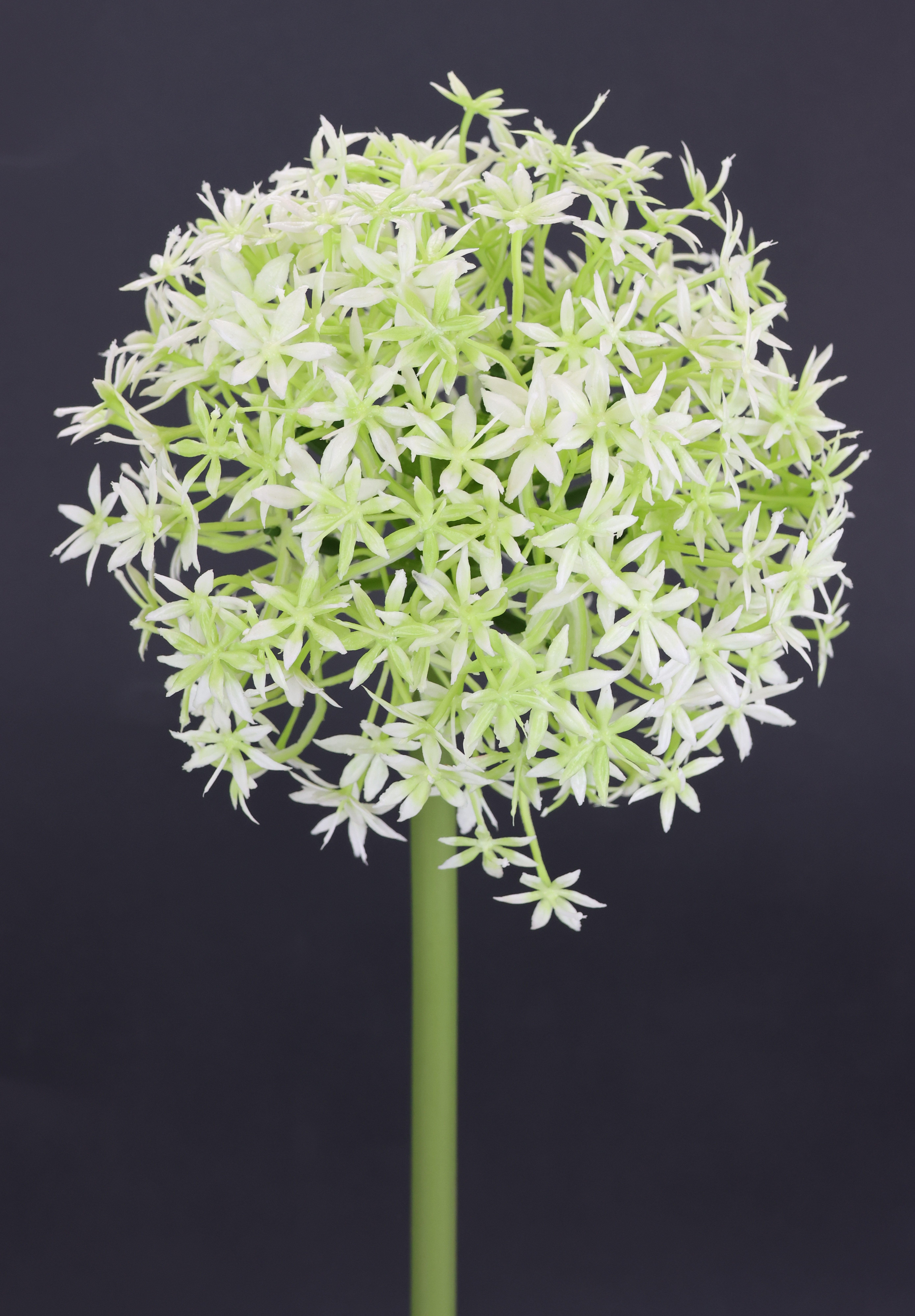 Kunstblume Allium Zierlauch, I.GE.A., Höhe 80 cm, Stielblume künstliche Blumen, 2er Set