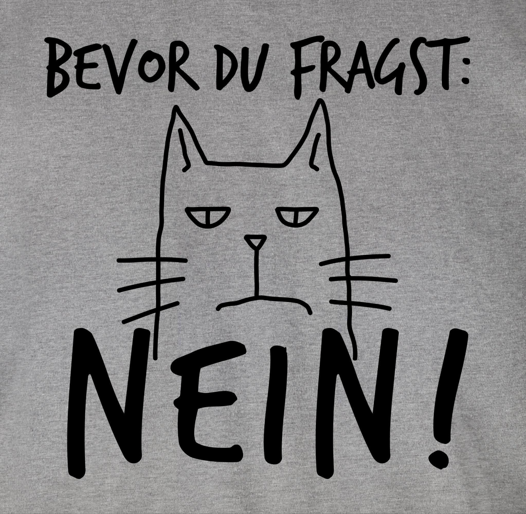 Shirtracer T-Shirt du Katze Spruch mit Statement 02 fragst Sarkasmus meliert - Sprüche Grau Lustig Ironie Spruch Nein Bevor Witzige 
