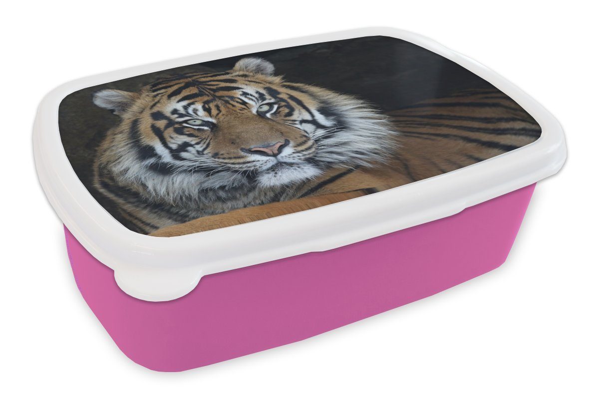 MuchoWow Lunchbox Tiger - Höhle - Natur, Kunststoff, (2-tlg), Brotbox für Erwachsene, Brotdose Kinder, Snackbox, Mädchen, Kunststoff rosa