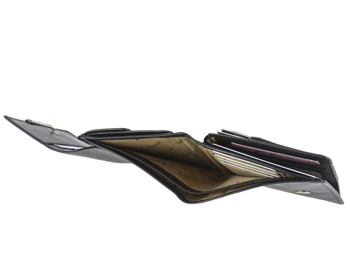 Geldbörse Kartenfächer Portemonnaie, Esquire Helena, 20 RFID Datendiebstahl, schwarz groß, gegen Schutz