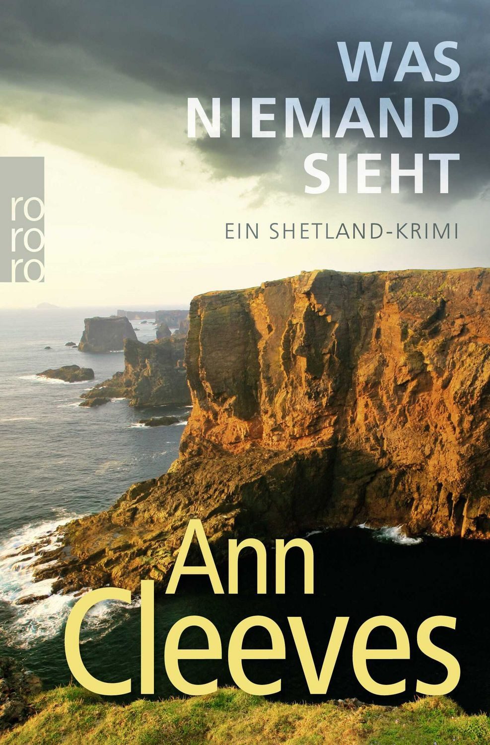 Was niemand sieht / Ann Cleeves