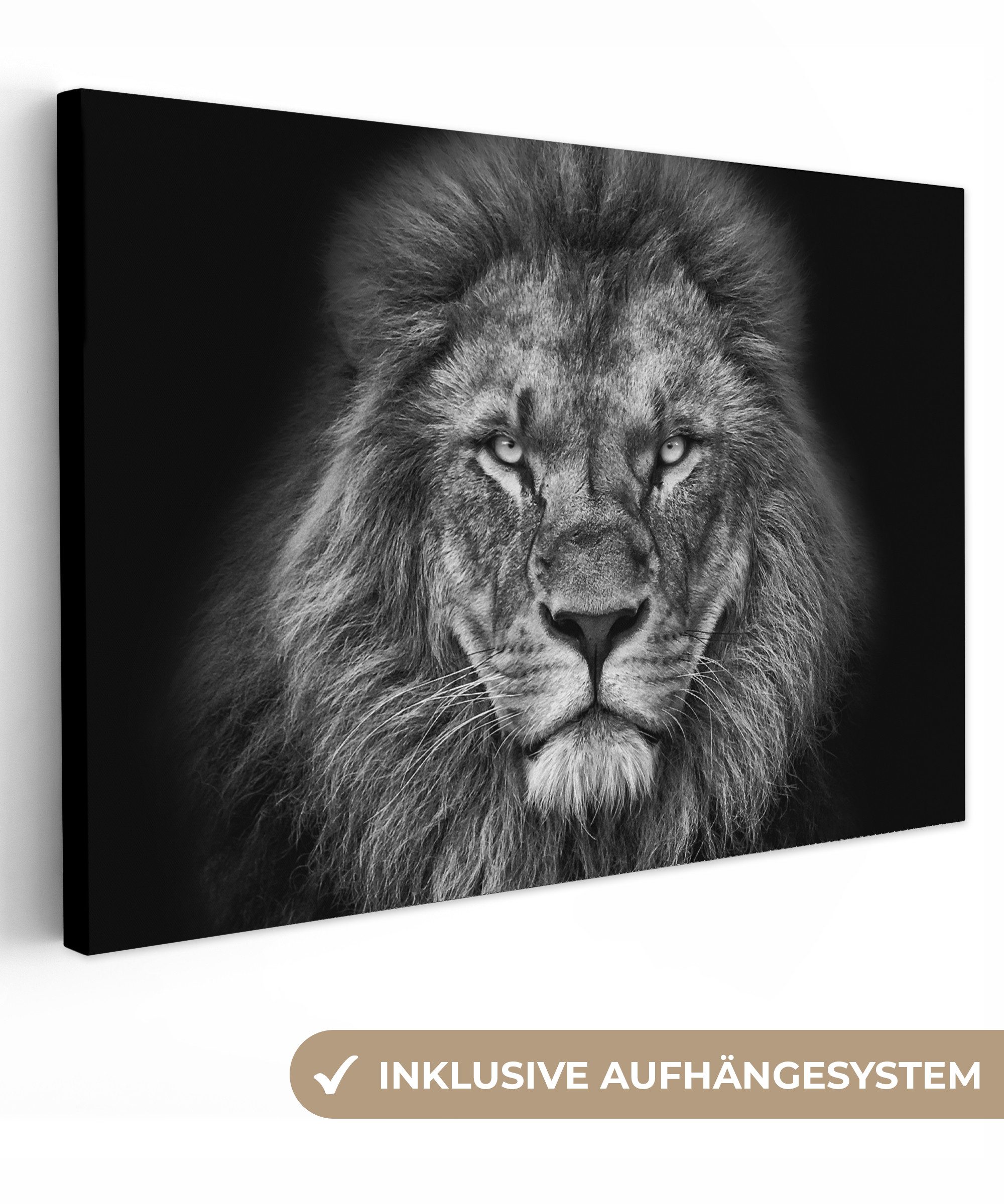 OneMillionCanvasses® Leinwandbild Tiere - Löwe - Schwarz - Weiß - Porträt, günstig online kaufen