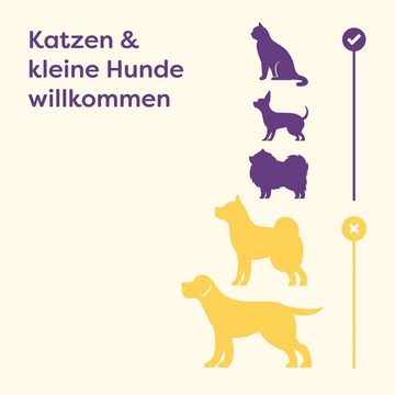 Knupis Tierbett Katzenbett Mit Kissen - Aus Nachhaltigem Filz - Waschbar, Weich & Rund - rutschfest - Katzenkörbchen für Katzen und Kleine Hunde