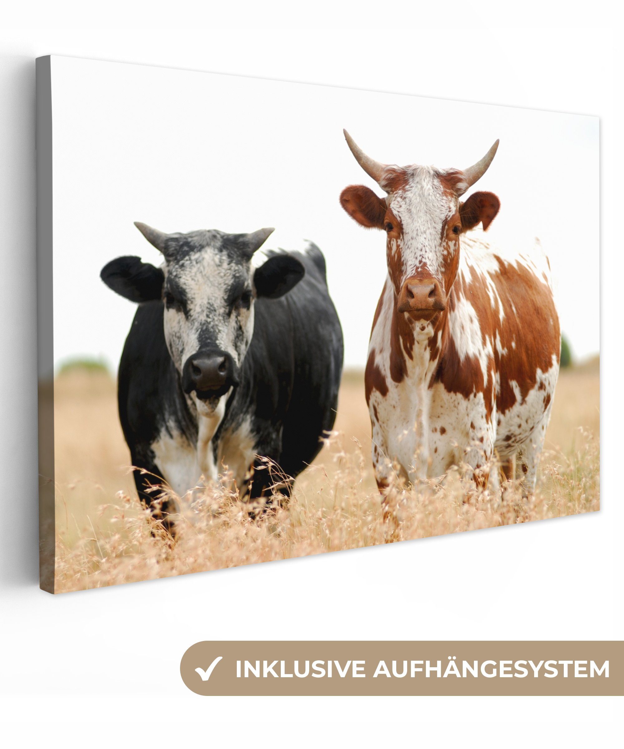 OneMillionCanvasses® Leinwandbild Kühe - Afrikanisch - Natur, (1 St), Wandbild Leinwandbilder, Aufhängefertig, Wanddeko, 30x20 cm bunt