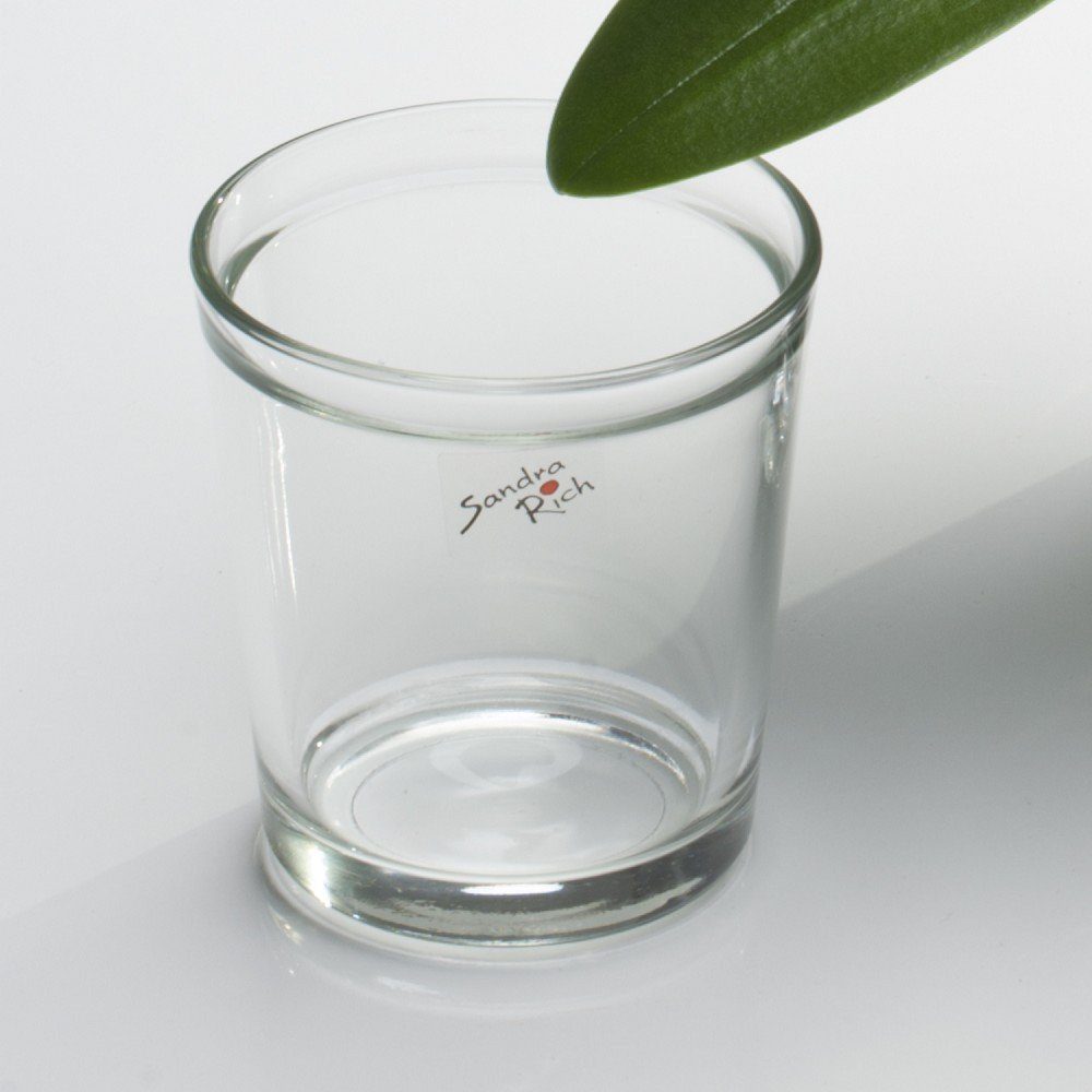 Transparent Glas Orchid, Übertopf Sandra D:12.5cm H:13.5cm Rich