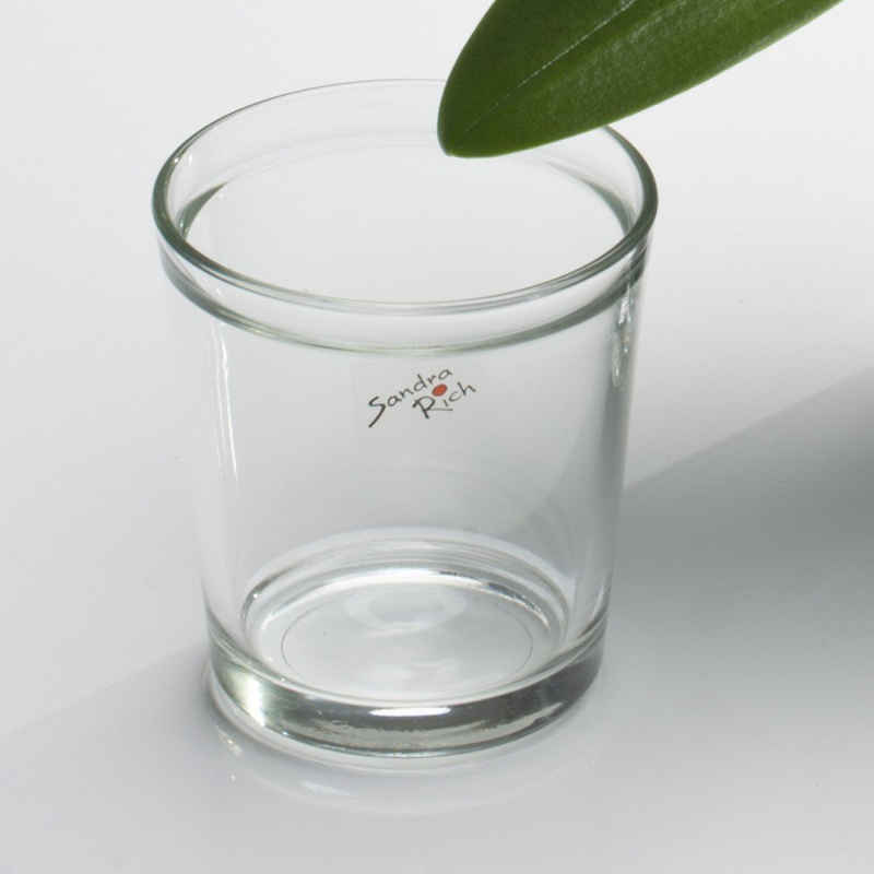 Sandra Rich Übertopf Orchid, Transparent H:13.5cm D:12.5cm Glas