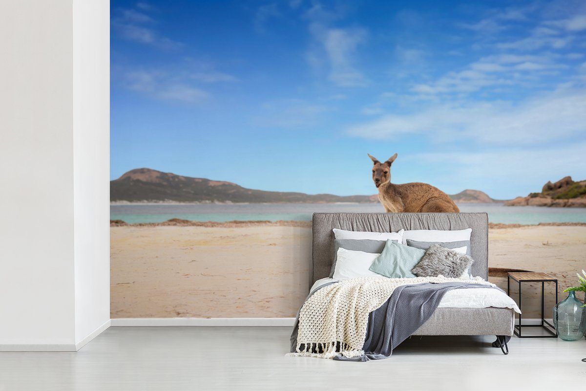 Wohnzimmer, Matt, Fototapete Strand Wallpaper - Tapete für Australien, St), Schlafzimmer, Kinderzimmer, - Känguru MuchoWow Vinyl (6 bedruckt,