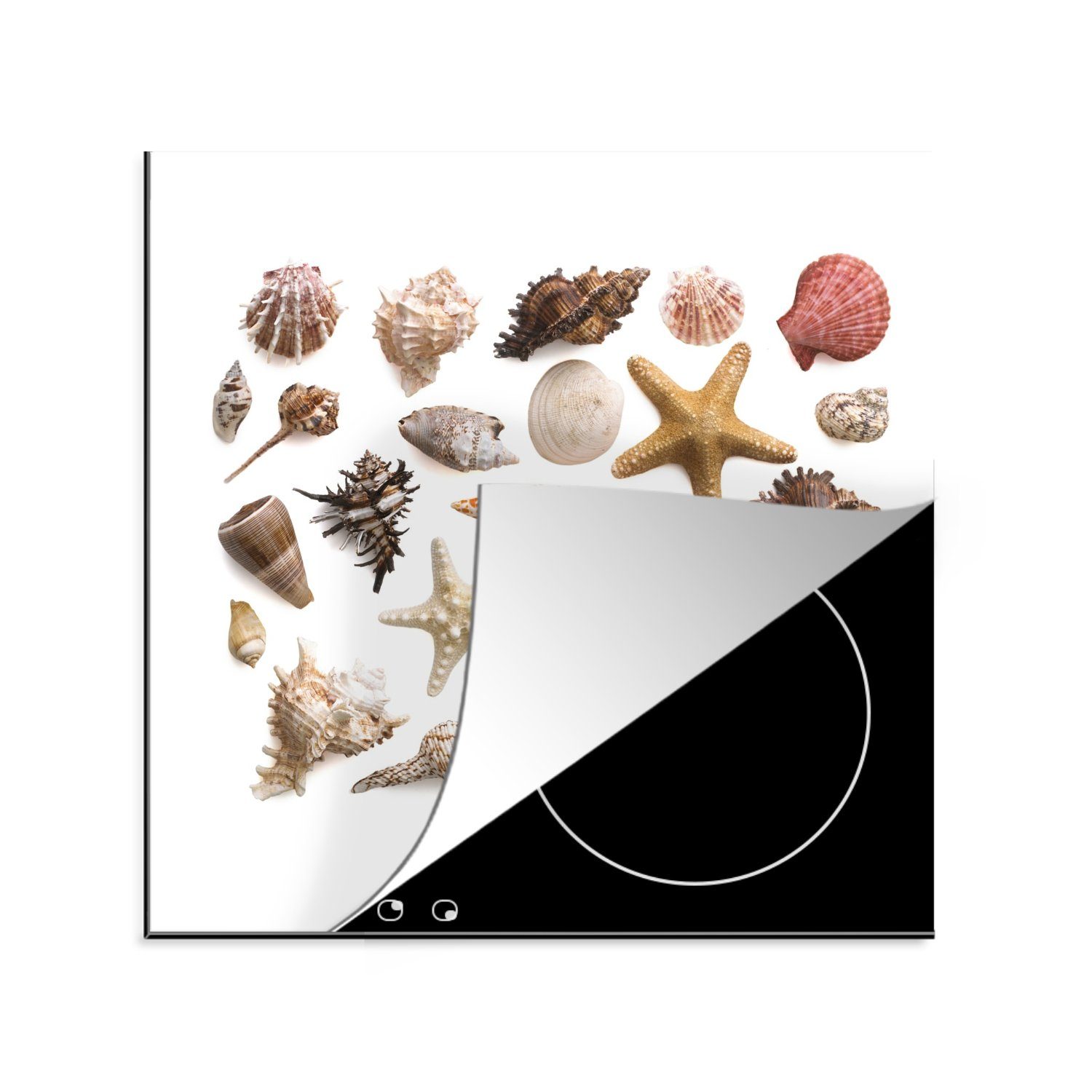 MuchoWow Herdblende-/Abdeckplatte Muschel - Seestern - Weiß, Vinyl, (1 tlg), 78x78 cm, Ceranfeldabdeckung, Arbeitsplatte für küche