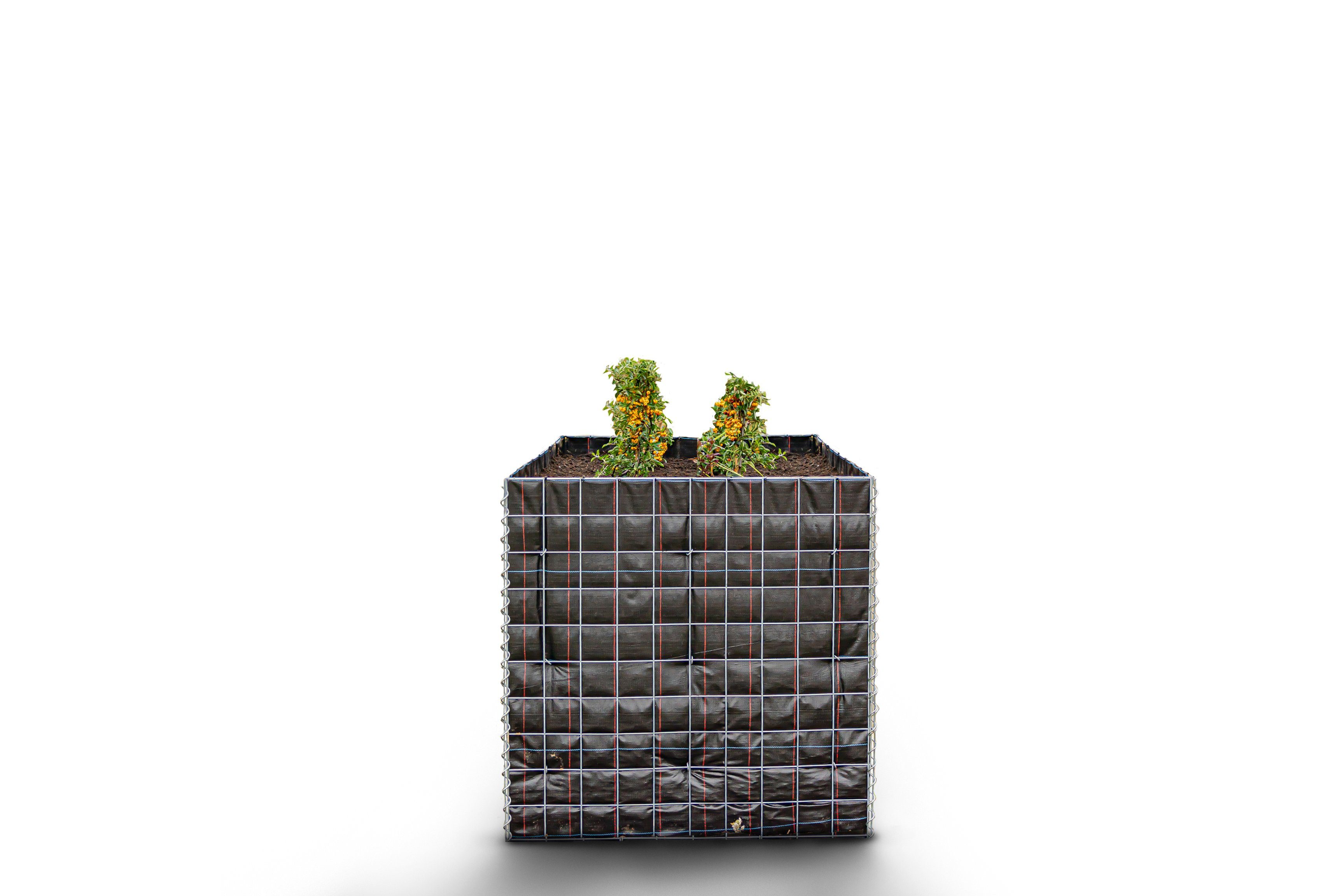 Gabiona Hochbeet Hochbeet eckig ohne Steine 100 cm x 100 cm x 100 cm