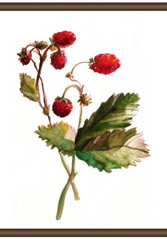 QUEENCE Картина »Erdbeer Pflanze« ...