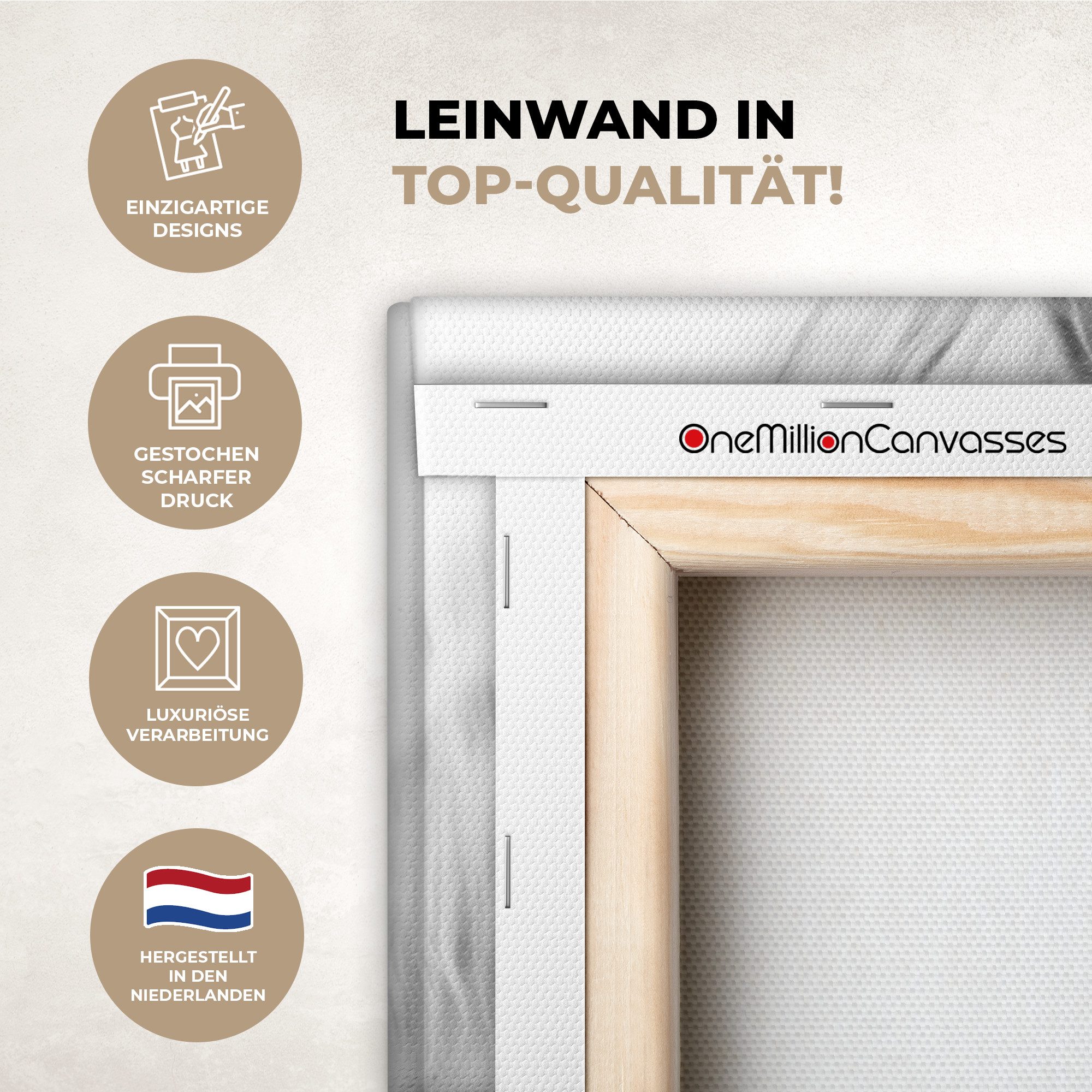 OneMillionCanvasses® Leinwandbild Panorama Pferd - Tiere - Porträt - Weiß, Fotodruck (1 St), Wandbild, Deko Schlafzimmer Wohnzimmer Flur 40x20 cm