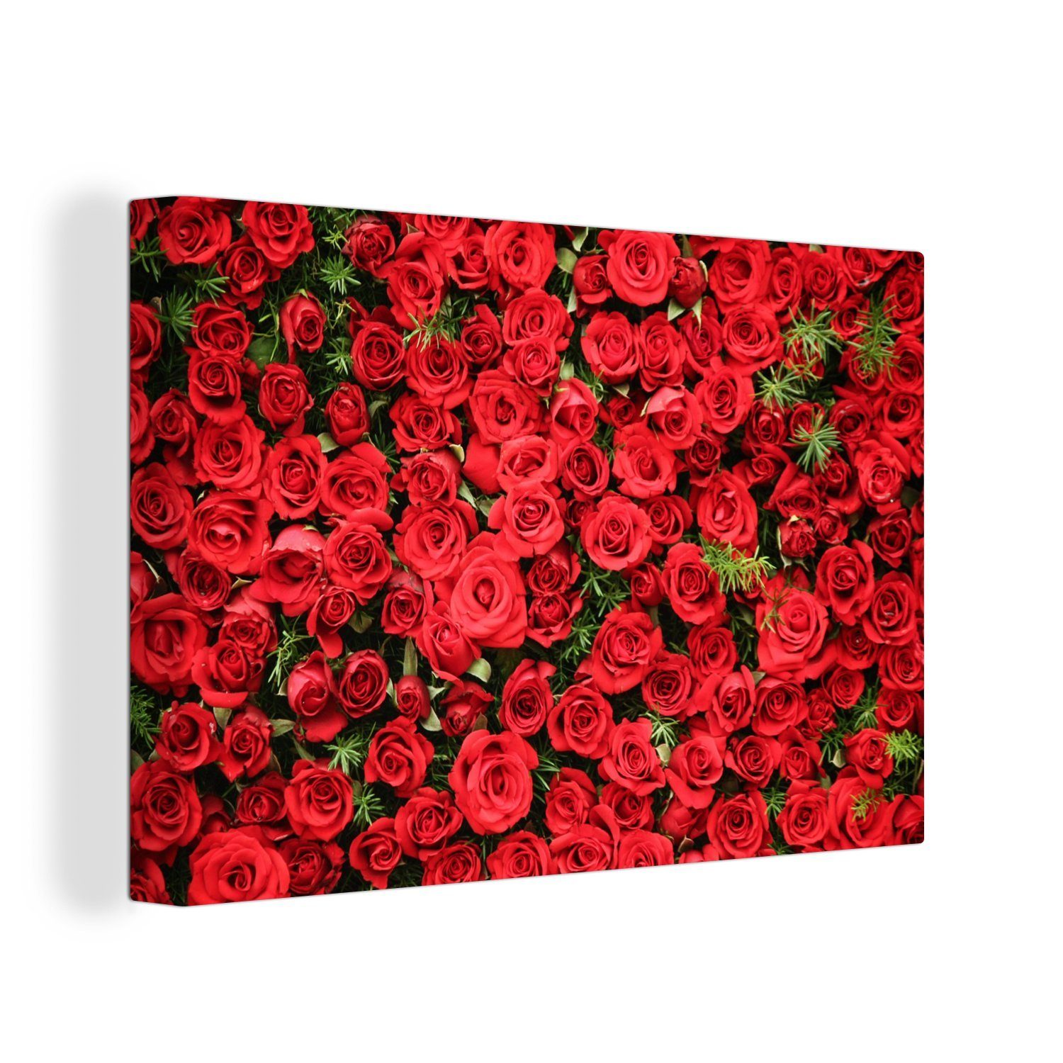 cm Leinwandbilder, OneMillionCanvasses® Rosen - 30x20 Strauch, St), Wanddeko, Rot (1 - Aufhängefertig, Wandbild Leinwandbild