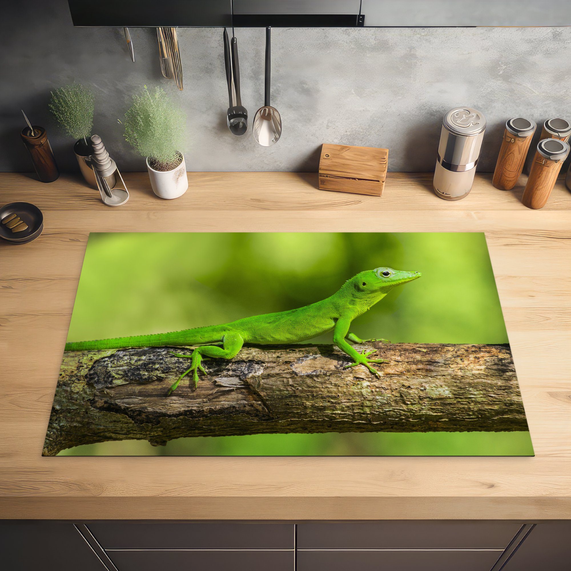für die auf Gecko 81x52 einem MuchoWow tlg), Schutz Grüner küche, (1 cm, Vinyl, Baumstumpf, Herdblende-/Abdeckplatte Ceranfeldabdeckung Induktionskochfeld