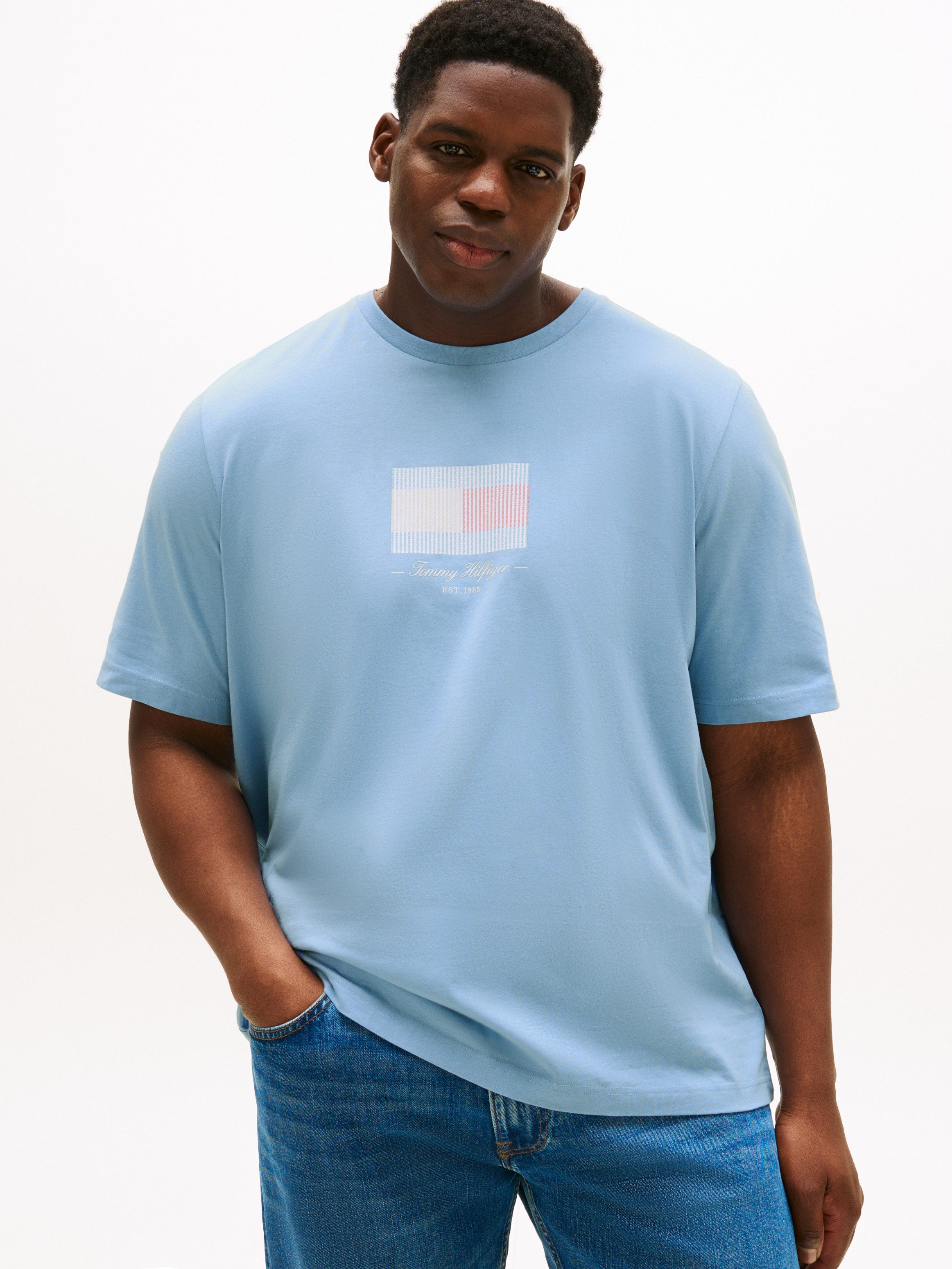 Tommy Hilfiger Big & Tall T-Shirt günstig online kaufen