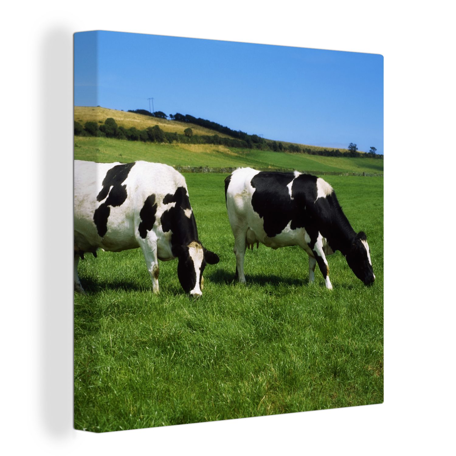OneMillionCanvasses® Leinwandbild Kuh - Tiere - Gras, (1 St), Leinwand Bilder für Wohnzimmer Schlafzimmer bunt