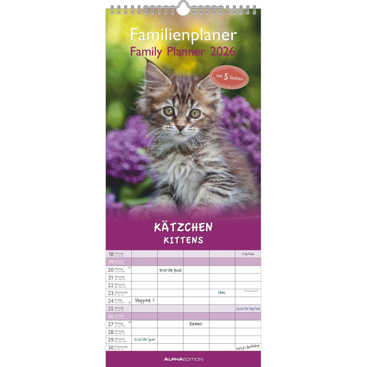 NEUMANN Wandkalender Kätzchen 2026 Familienplaner - Familienkalender - Wandkalender -...