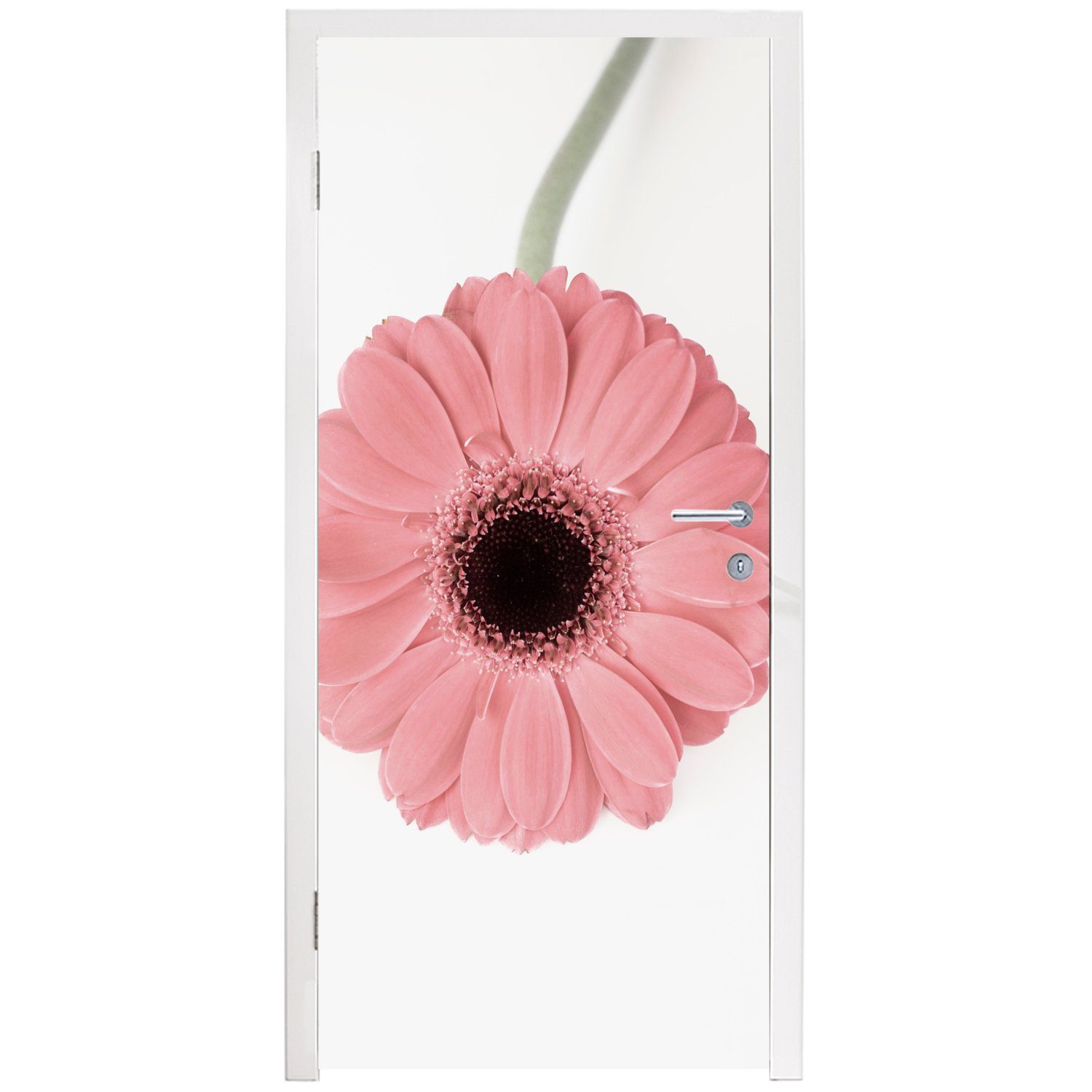 Blume bedruckt, cm 75x205 Tür, - St), MuchoWow Türaufkleber, (1 Pflanze, - Matt, Natur Rosa für Fototapete - Türtapete